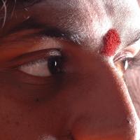 20061019_Photo_1262_DSC_6278_CMP_WM