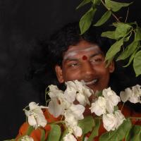 20061019_Photo_1265_DSC_6173_CMP_WM