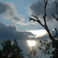 20061019_Photo_1326_DSC_5581_CMP_WM