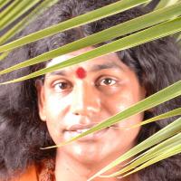 20061019_Photo_1359_DSC_6300_CMP_WM