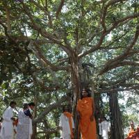 20061019_Photo_1380_DSC_5484_CMP_WM