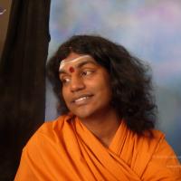 20061019_Photo_1382_DSCN0731_CMP_WM