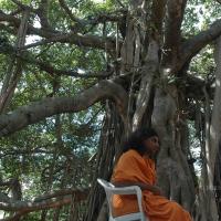 20061019_Photo_1400_DSC_5437_CMP_WM