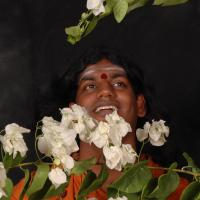 20061019_Photo_1471_DSC_6169_CMP_WM