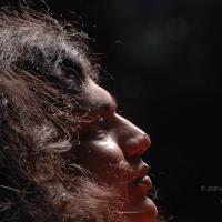 20061019_Photo_1487_DSC_6265_CMP_WM