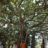 20061019_Photo_1571_DSC_5483_CMP_WM