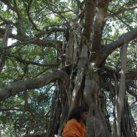 20061019_Photo_1581_DSC_5435_CMP_WM