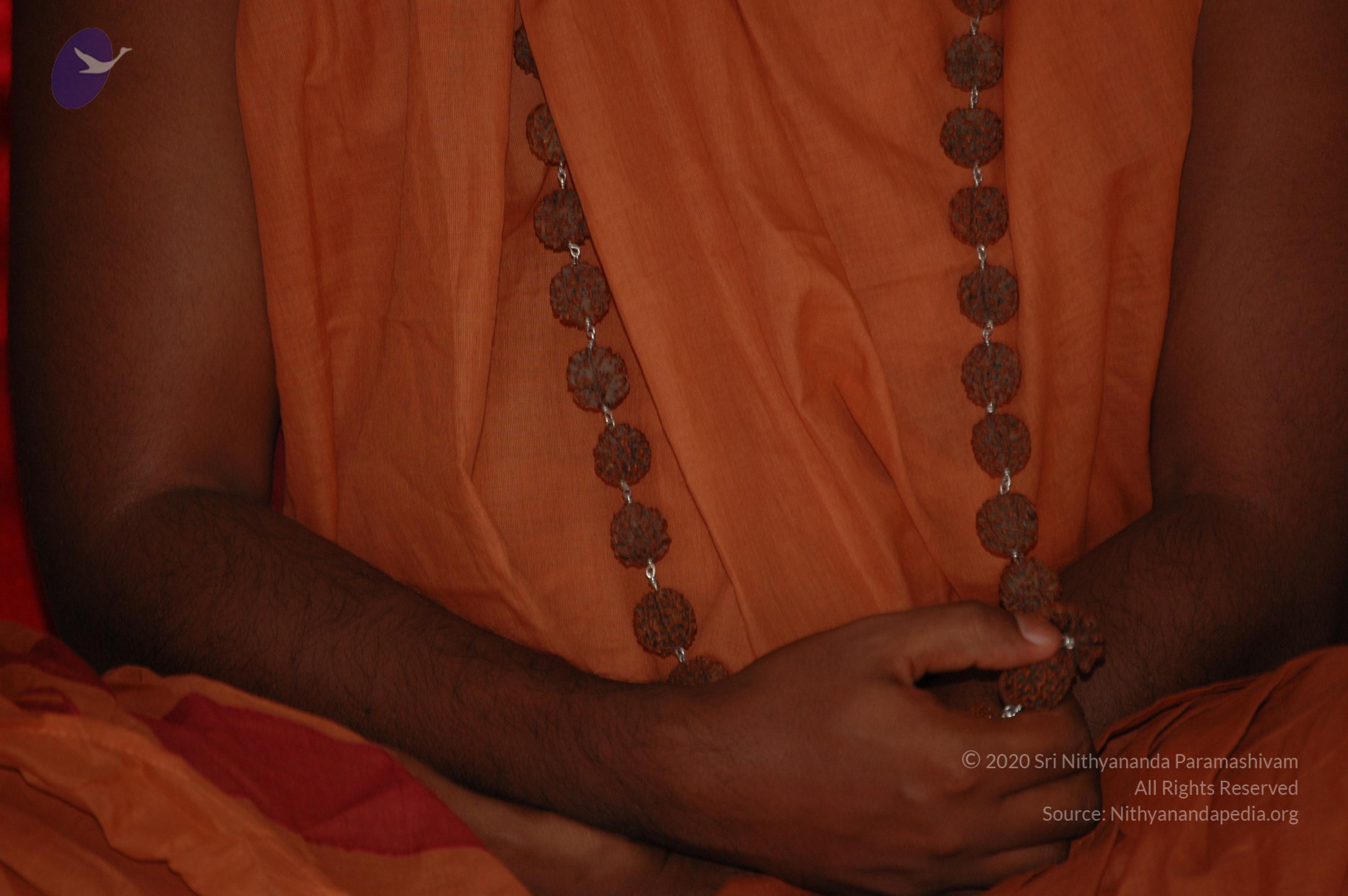 20061021_Photo_1020_DSC_7500_CMP_WM