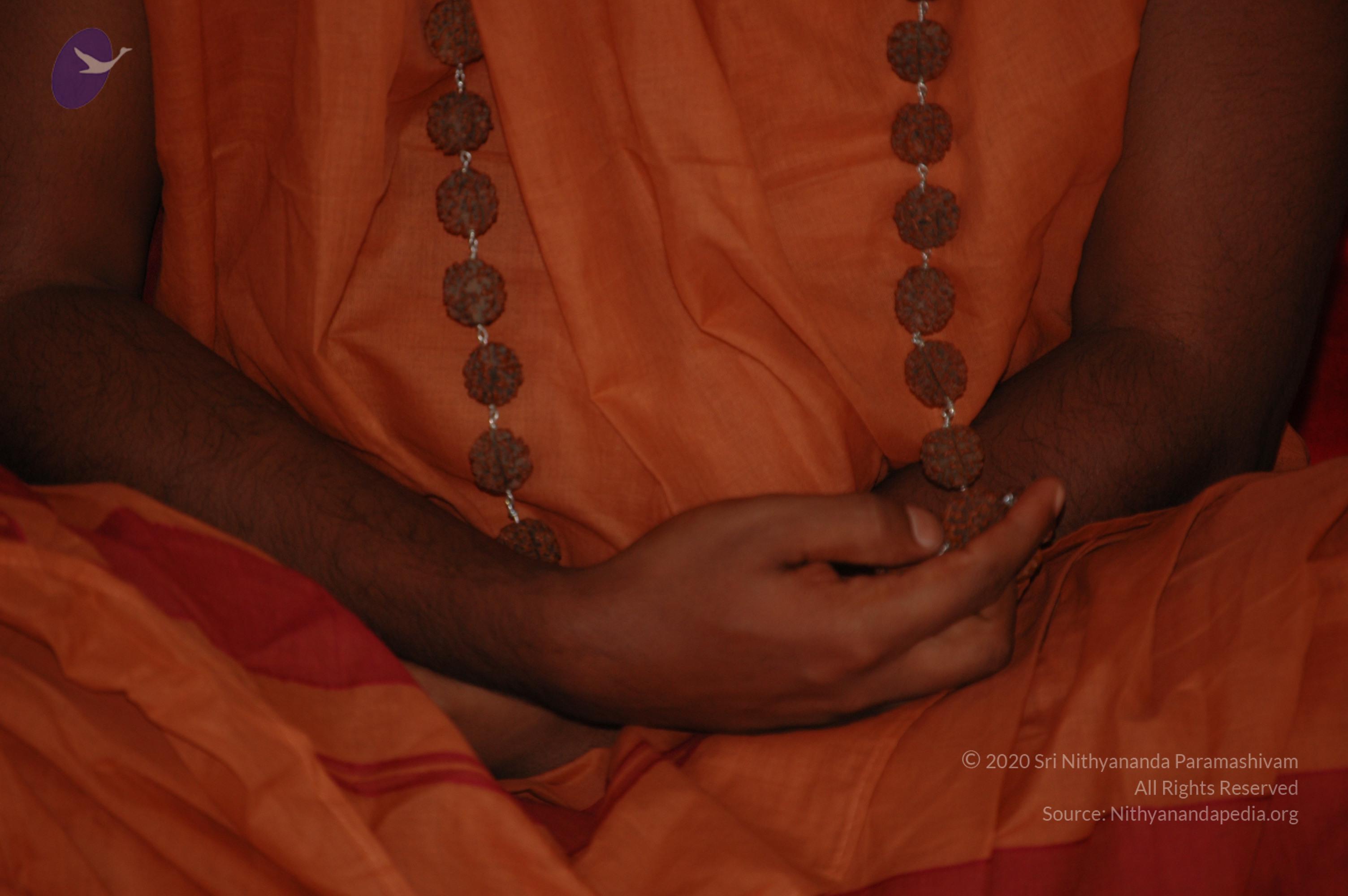 20061021_Photo_1052_DSC_7499_CMP_WM