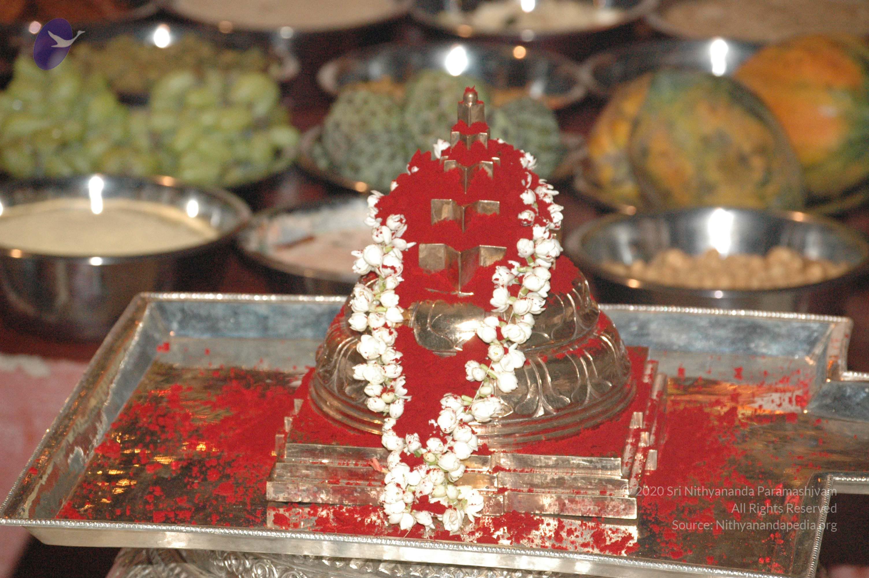 20061021_Photo_1000_DSC_8859_CMP_WM