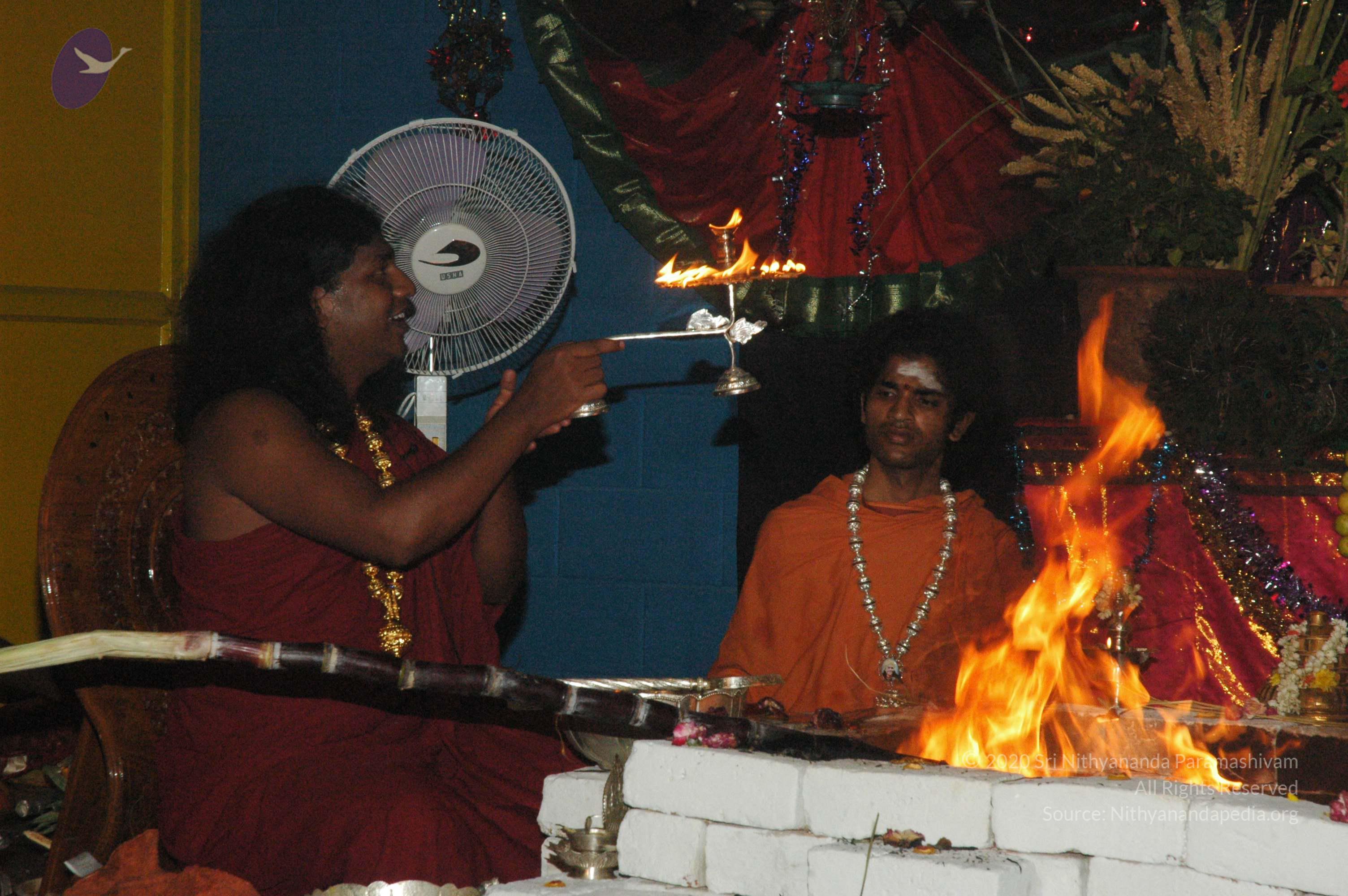 20061021_Photo_1003_DSC_9134_CMP_WM