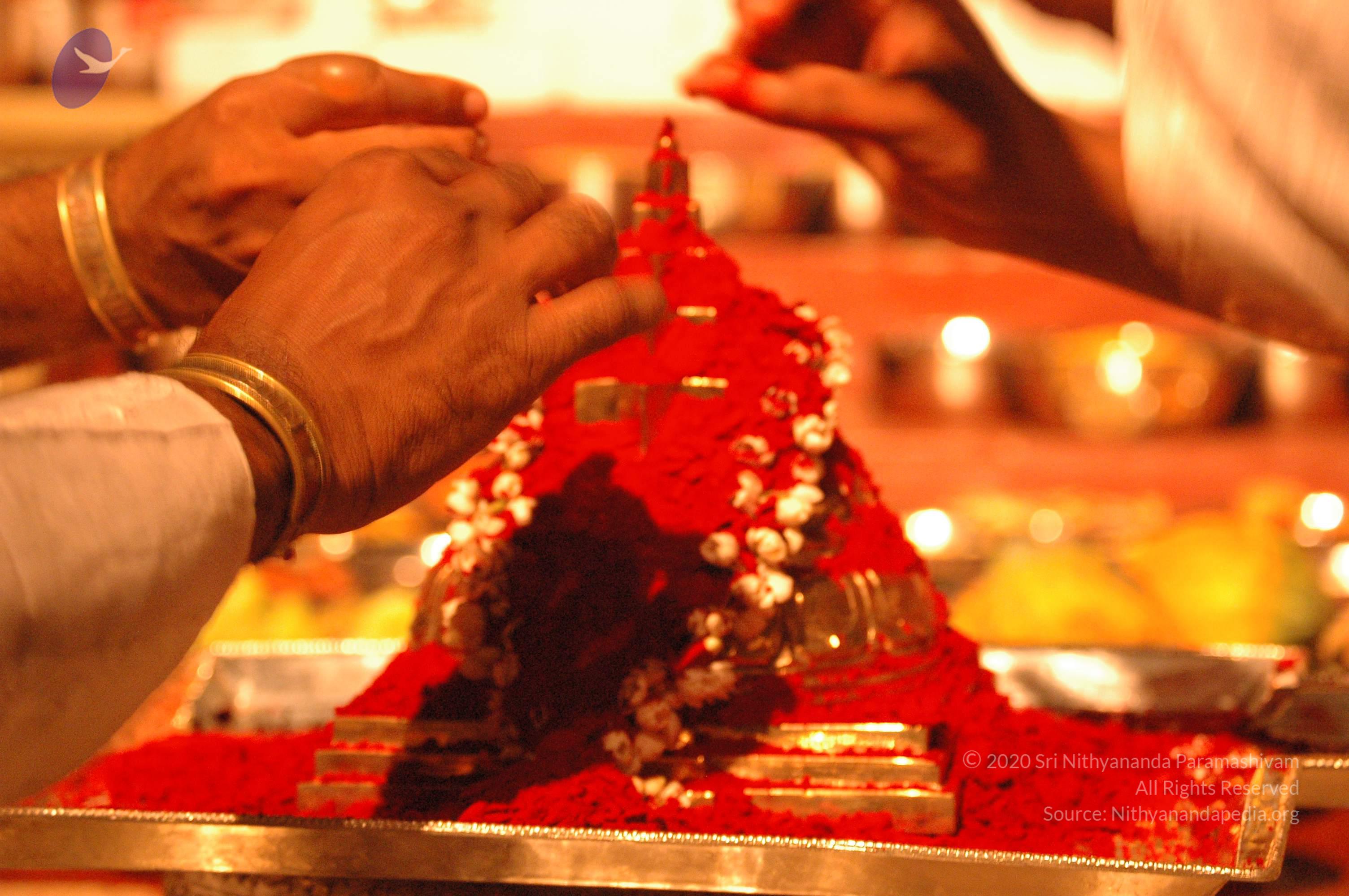 20061021_Photo_1007_DSC_9096_CMP_WM