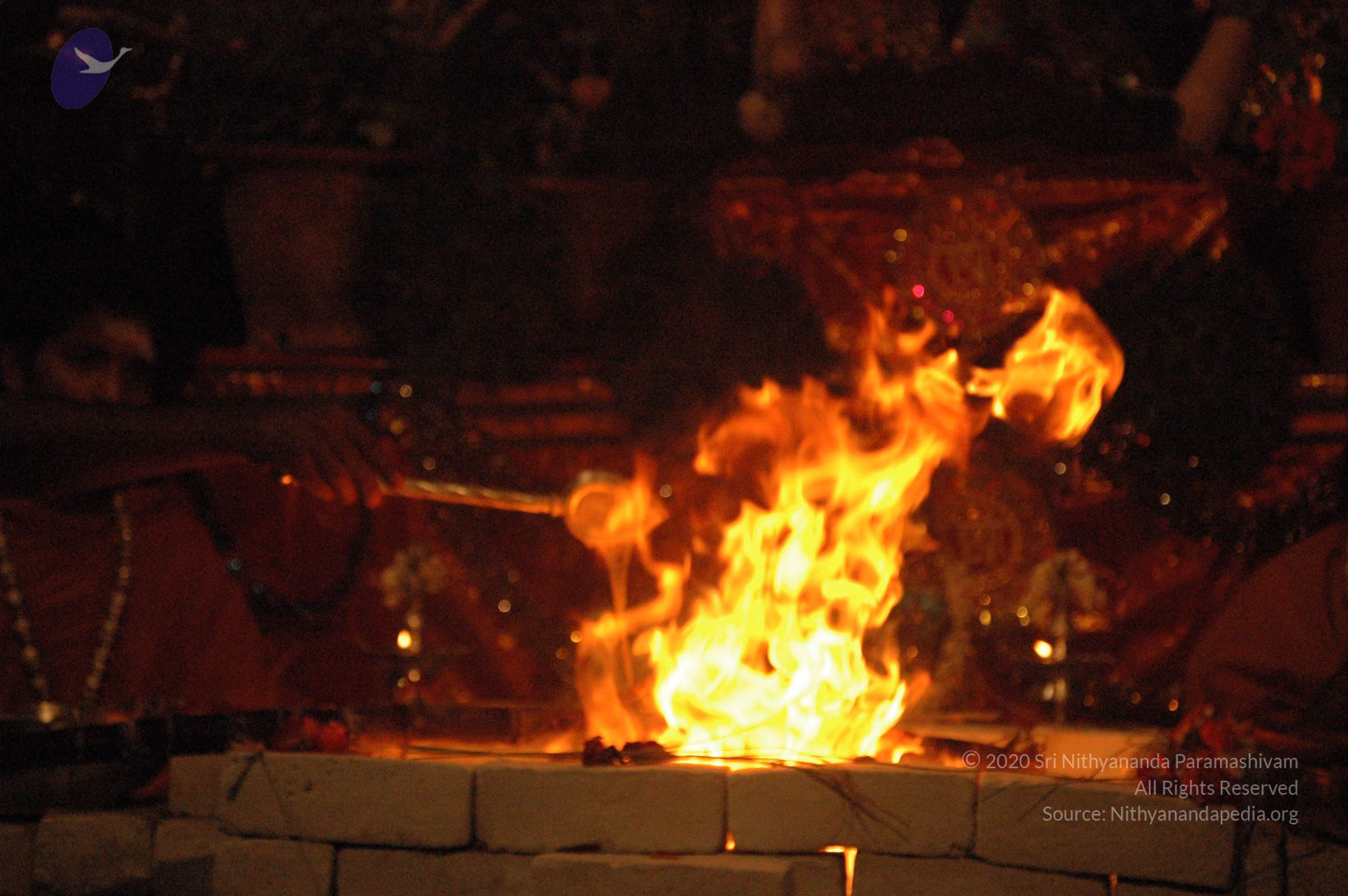 20061021_Photo_1008_DSC_8872_CMP_WM