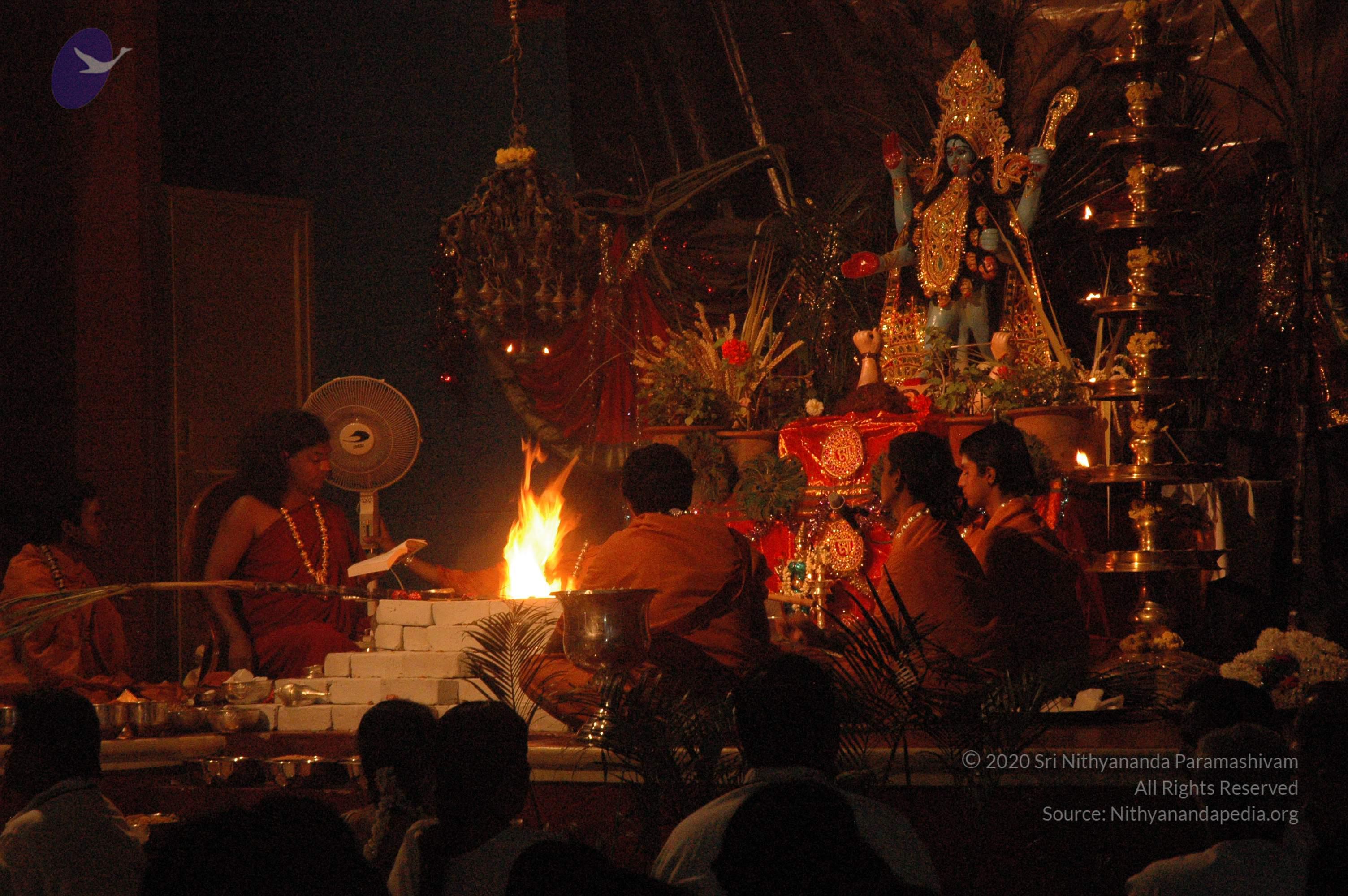 20061021_Photo_1011_DSC_8999_CMP_WM