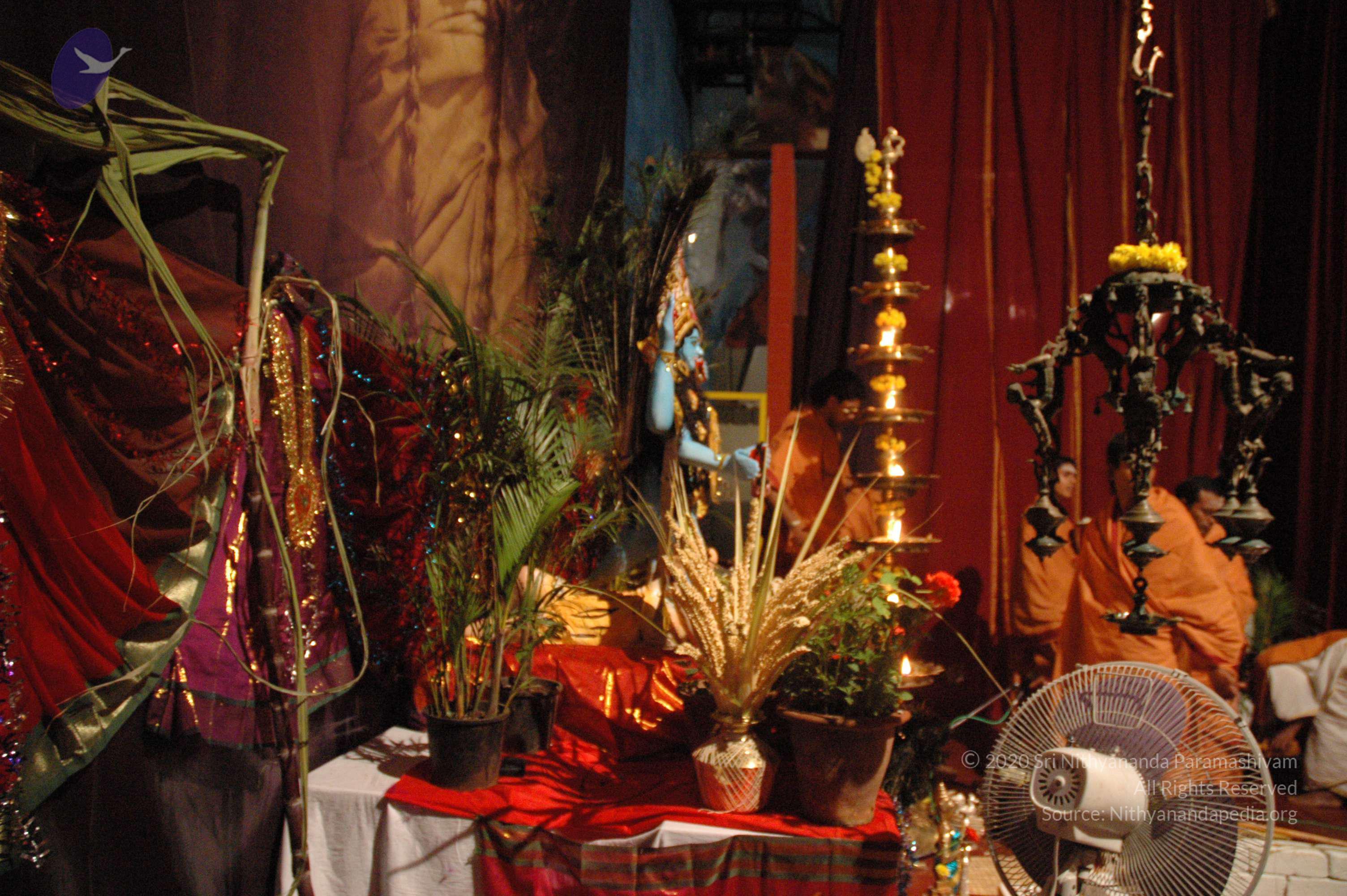 20061021_Photo_1022_DSC_8750_CMP_WM