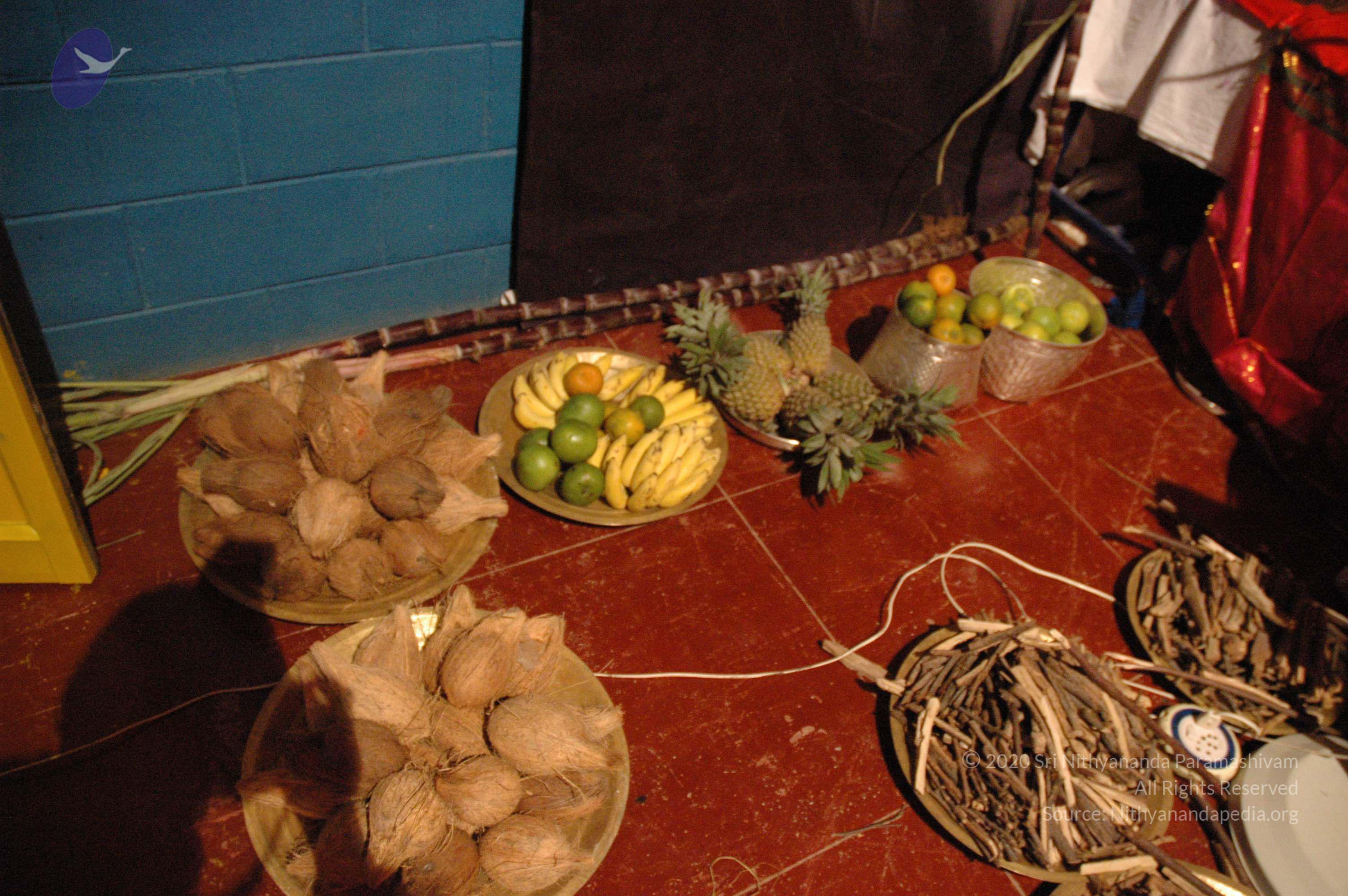 20061021_Photo_1037_DSC_8762_CMP_WM