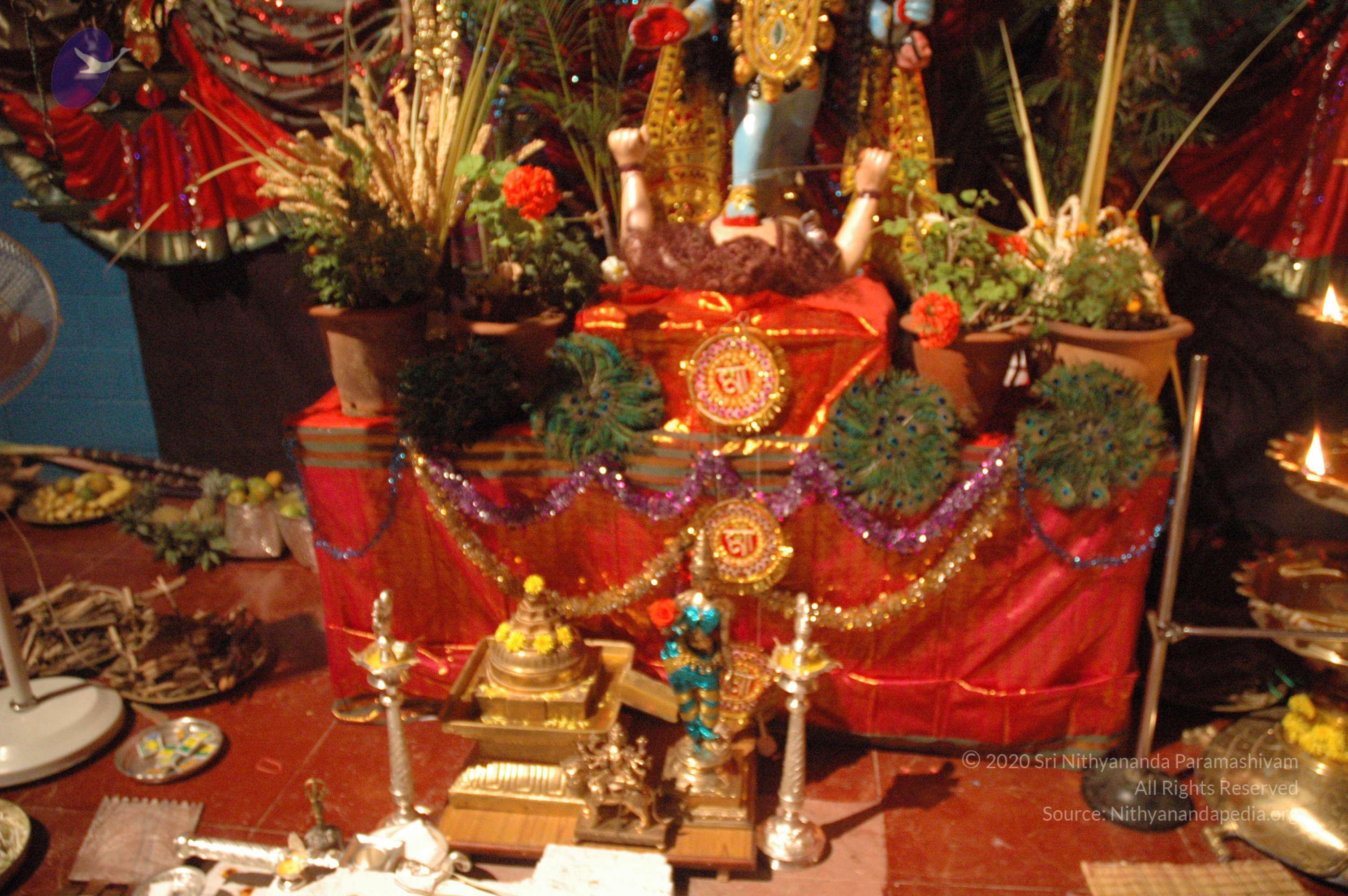 20061021_Photo_1039_DSC_8737_CMP_WM