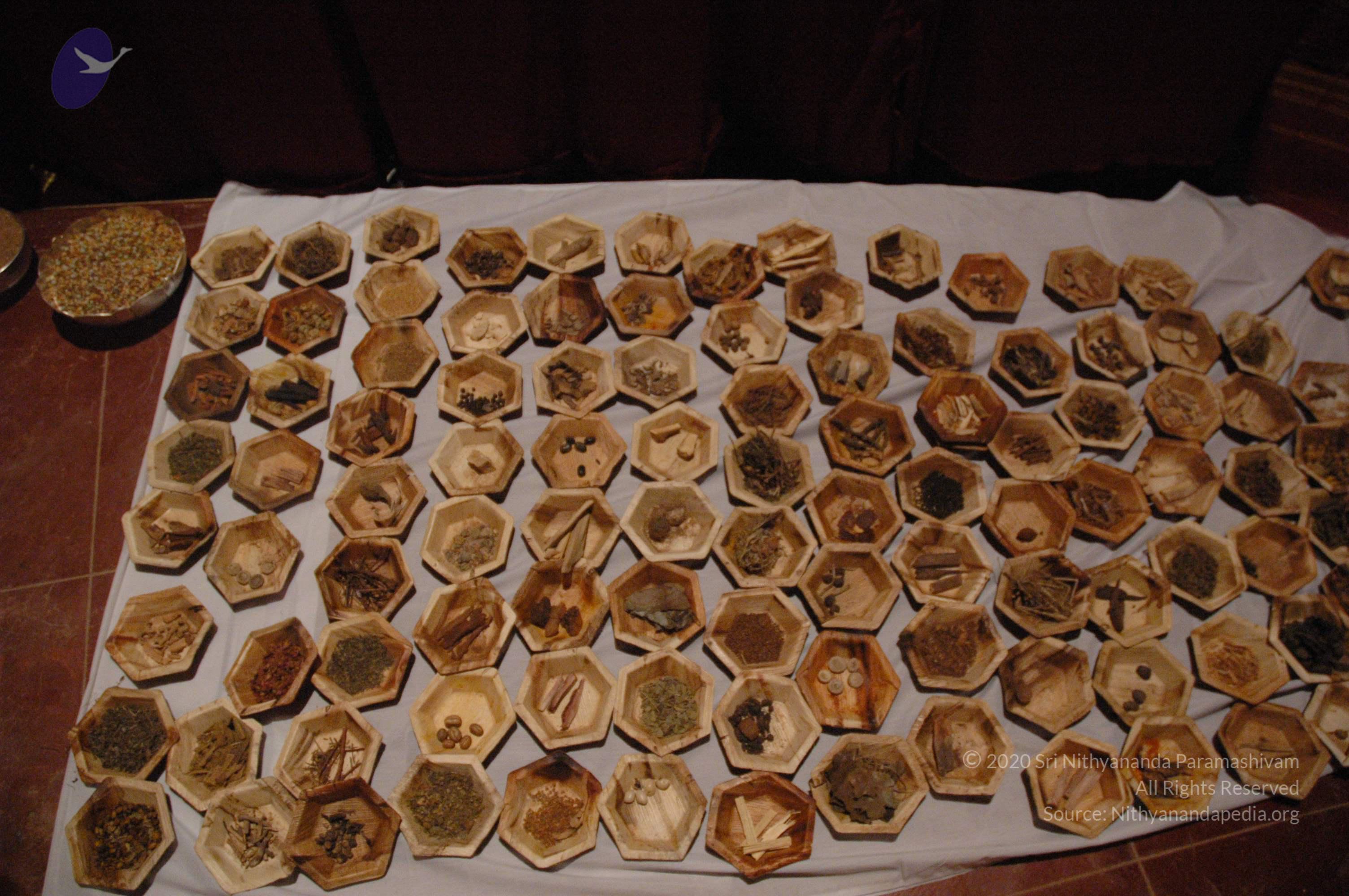 20061021_Photo_1045_DSC_8726_CMP_WM