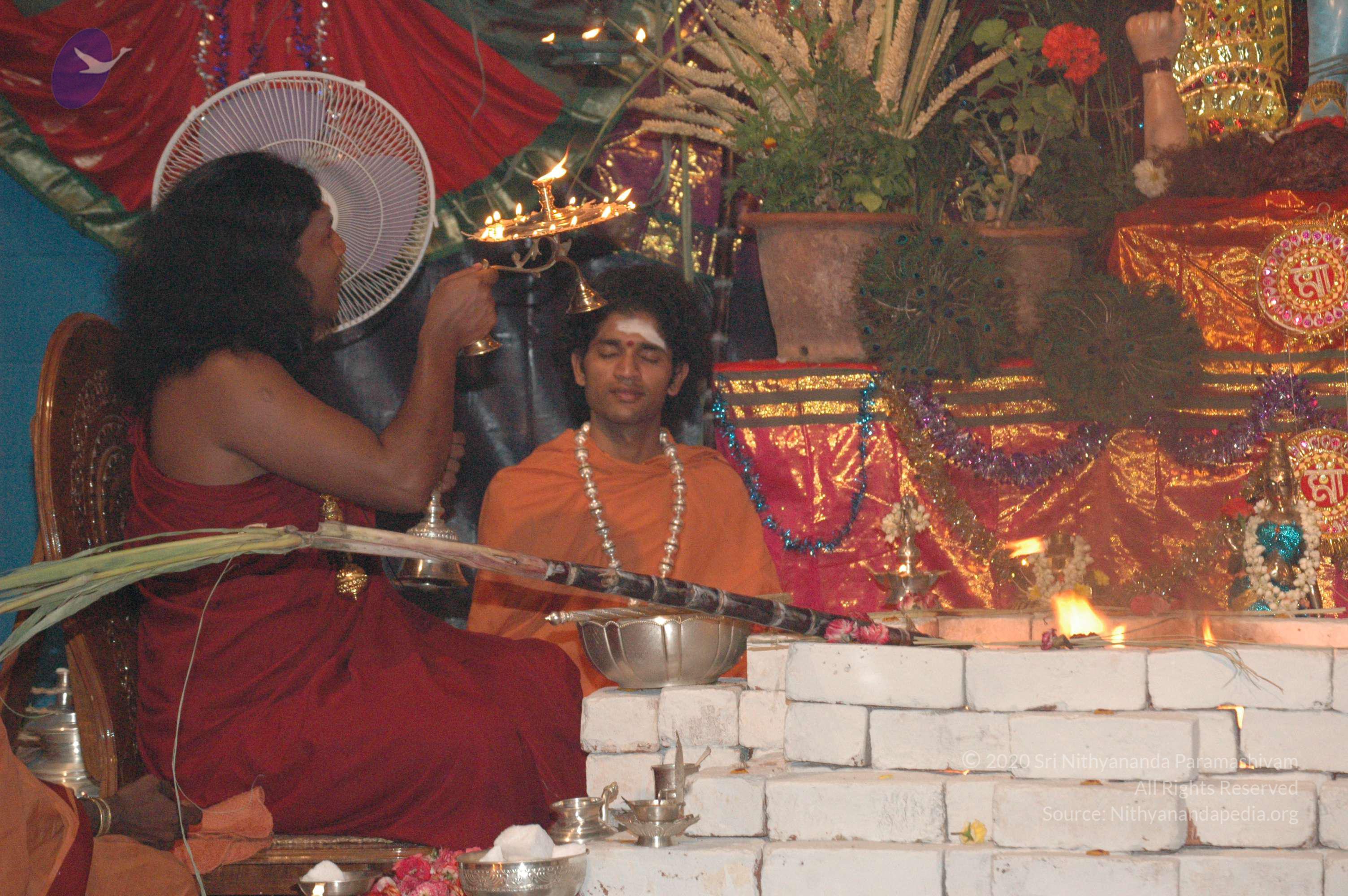 20061021_Photo_1046_DSC_8894_CMP_WM