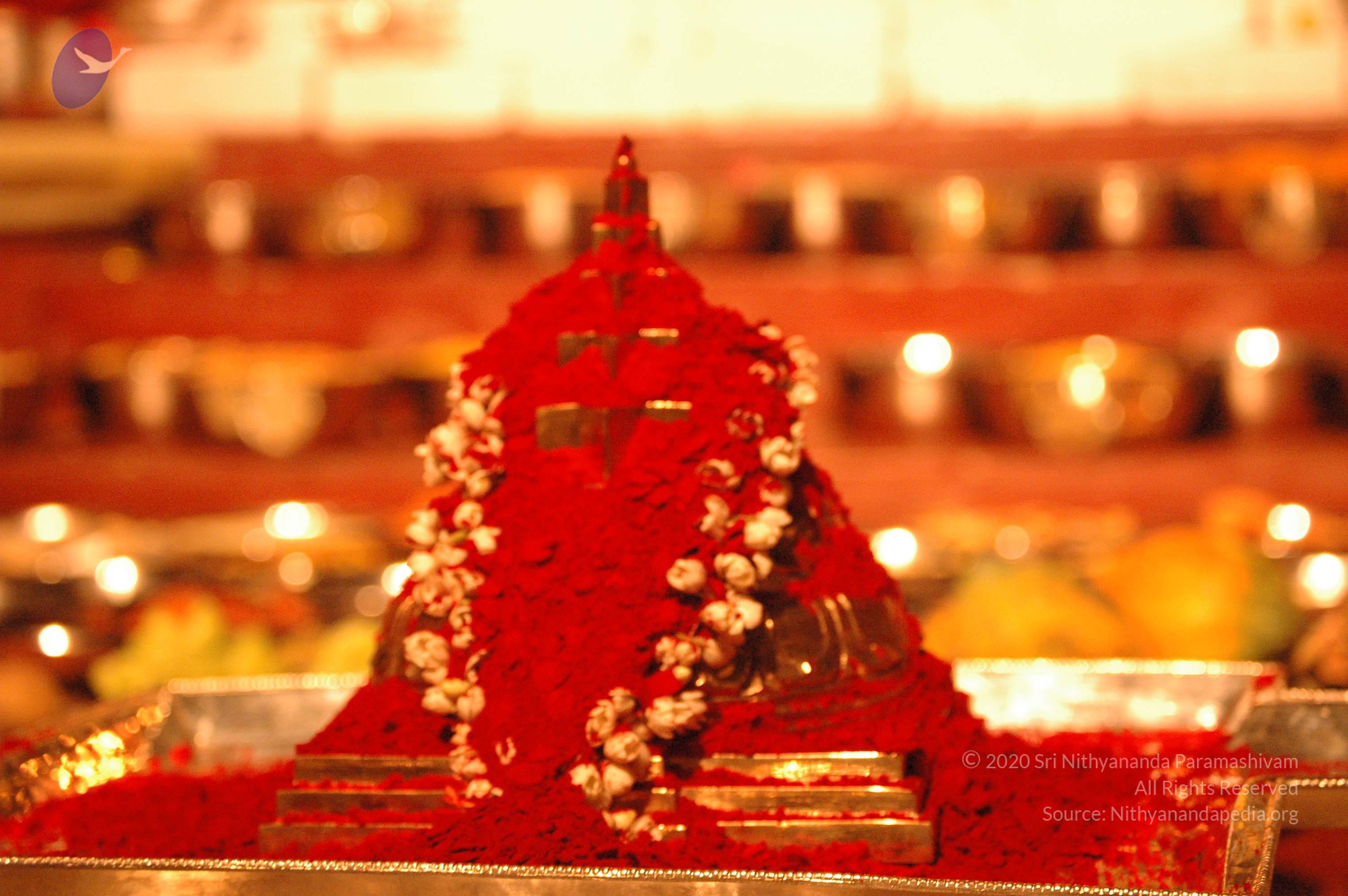 20061021_Photo_1056_DSC_9094_CMP_WM