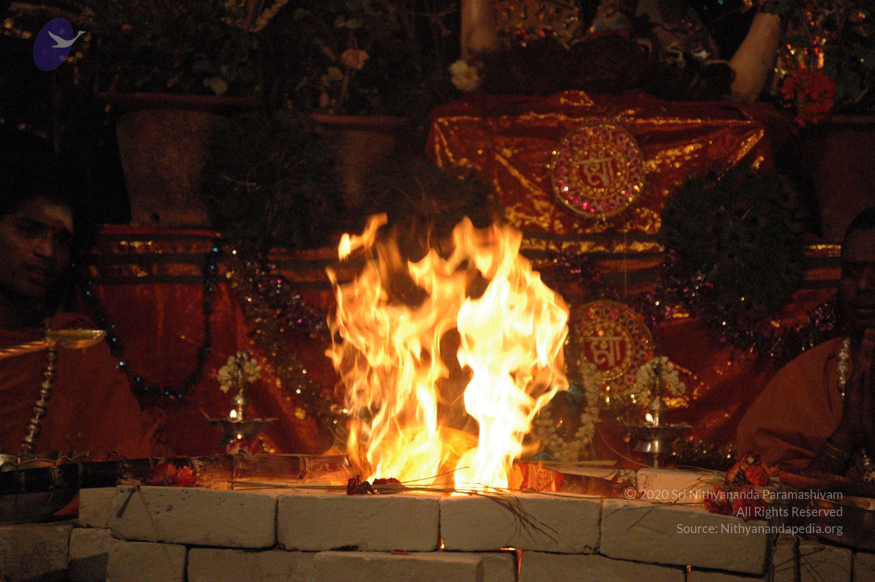 20061021_Photo_1058_DSC_8870_CMP_WM