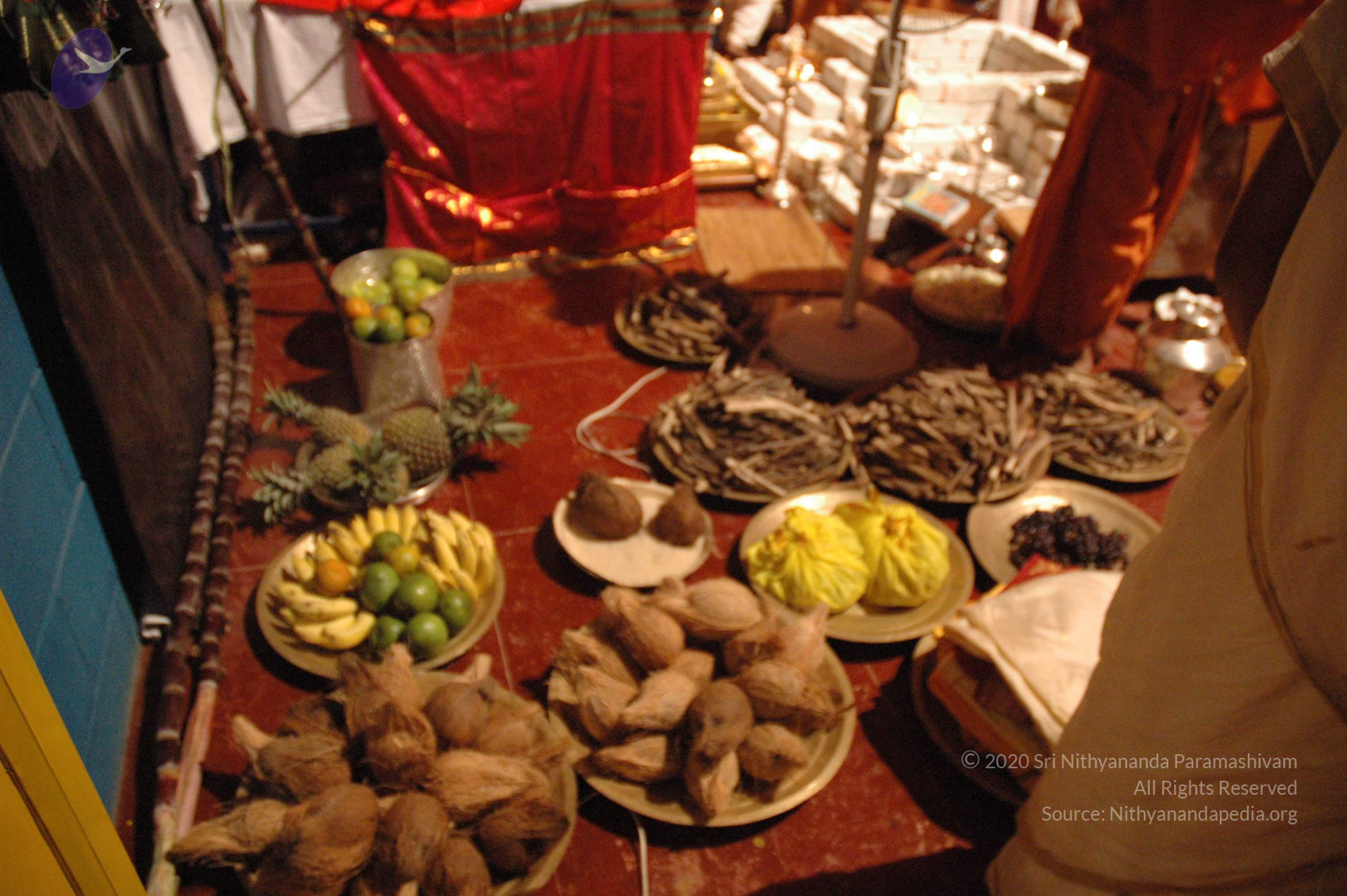 20061021_Photo_1060_DSC_8768_CMP_WM