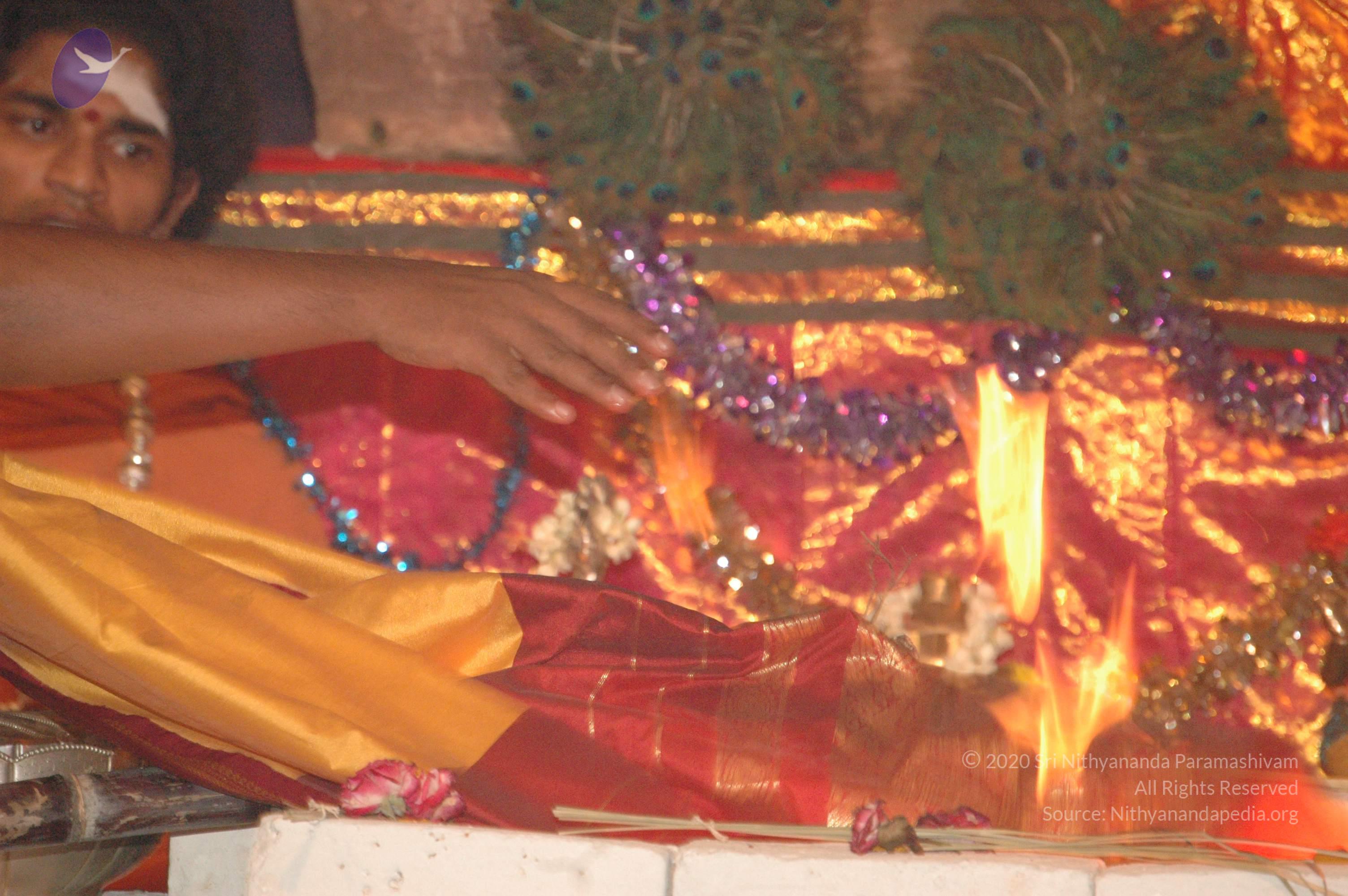 20061021_Photo_1078_DSC_8864_CMP_WM