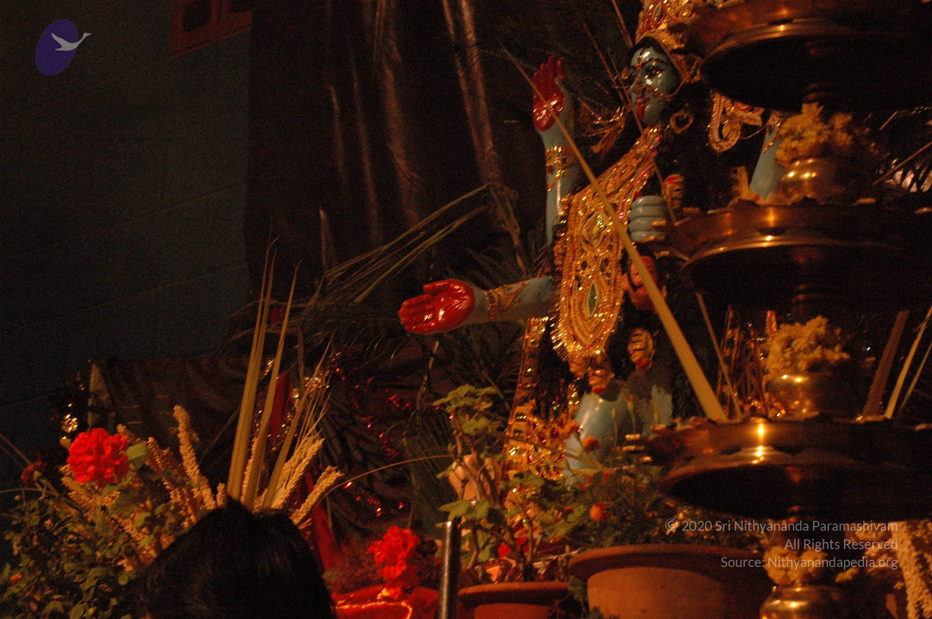 20061021_Photo_1090_DSC_8982_CMP_WM