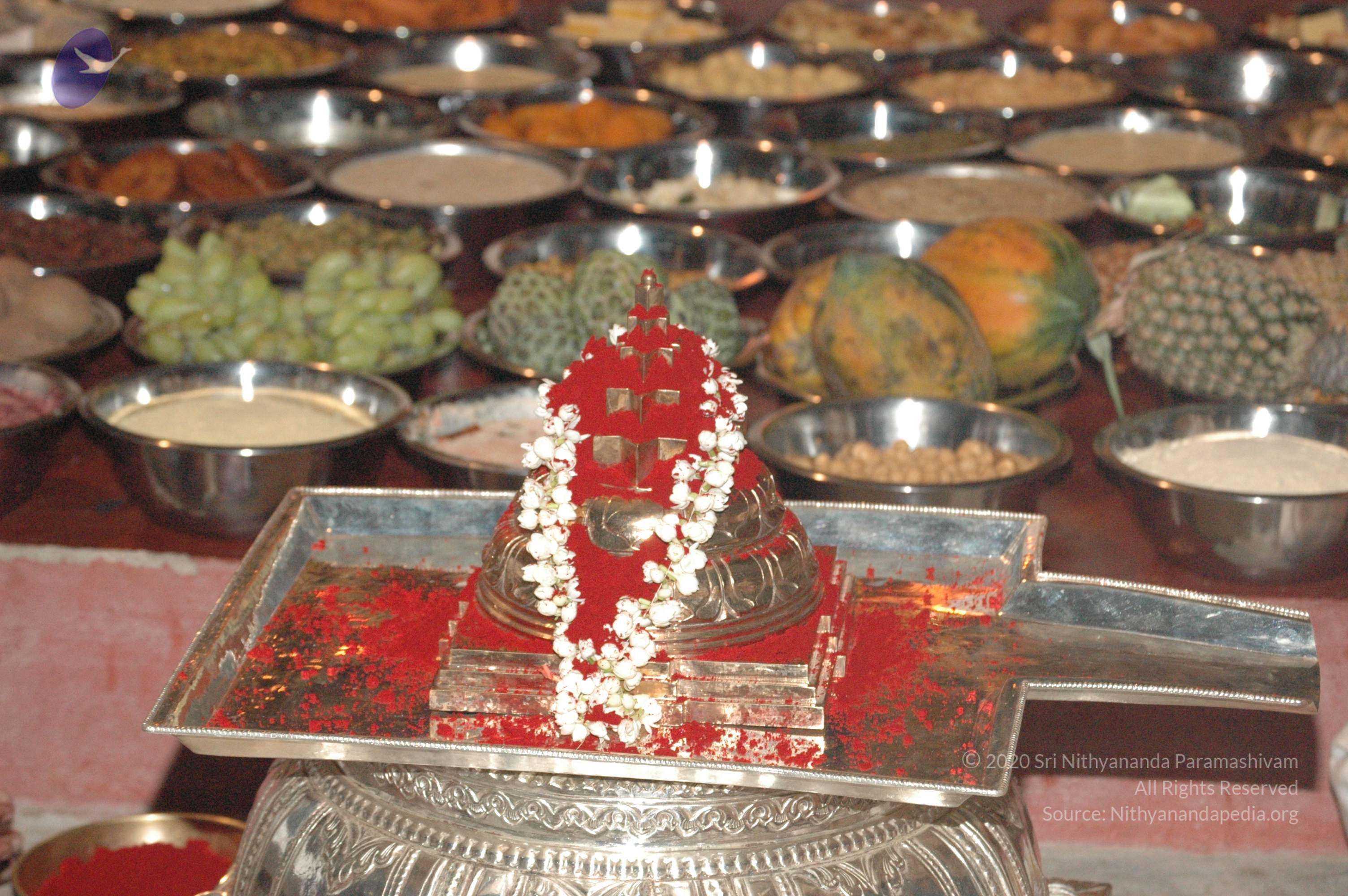 20061021_Photo_1117_DSC_8858_CMP_WM