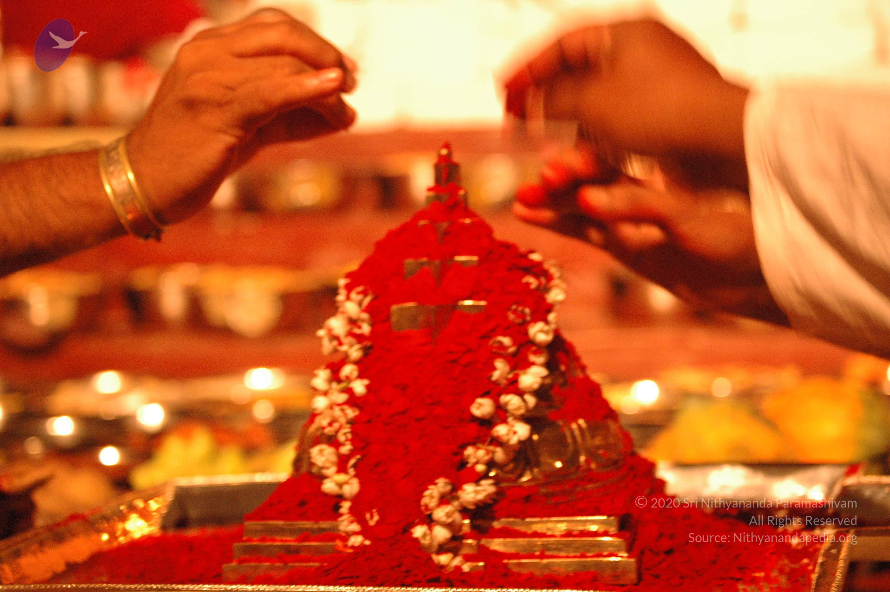 20061021_Photo_1119_DSC_9097_CMP_WM