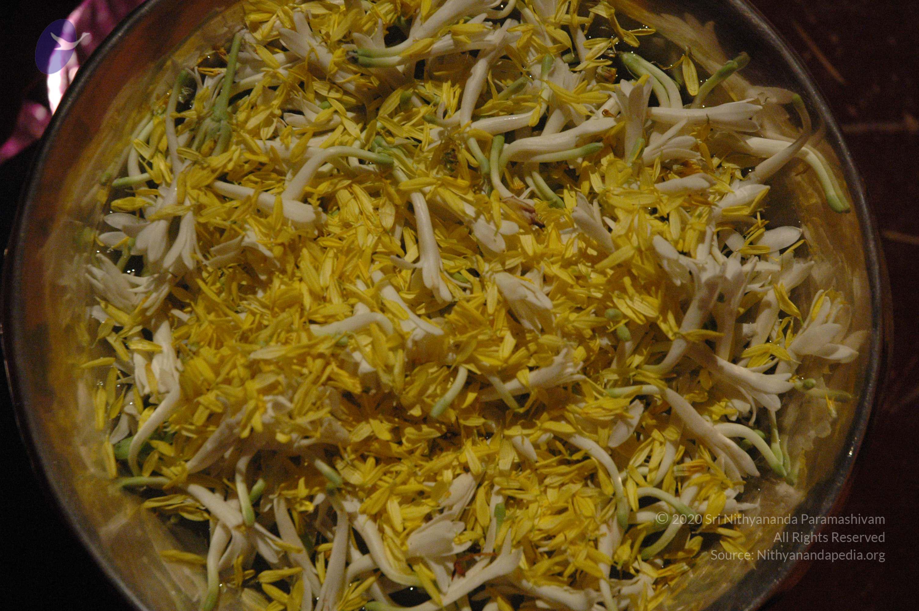 20061021_Photo_1132_DSC_8733_CMP_WM