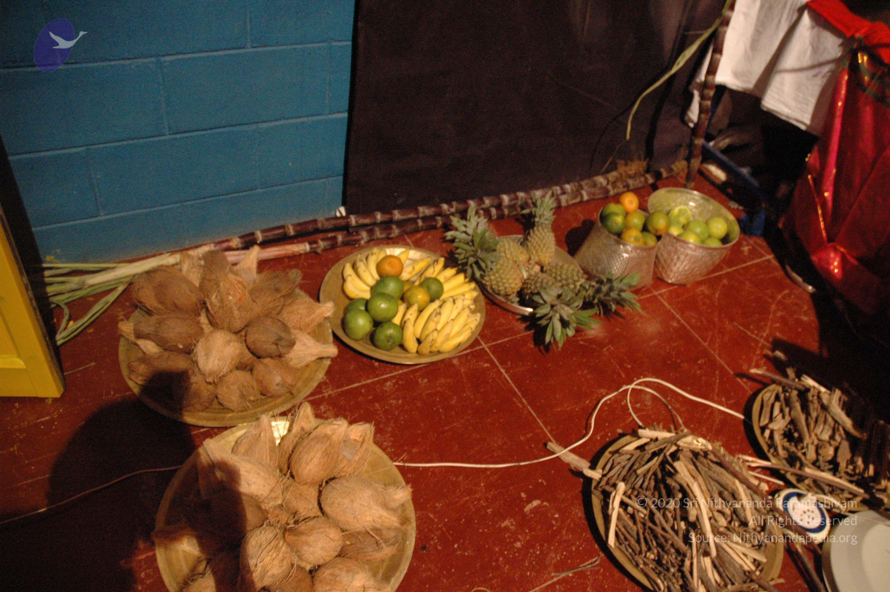 20061021_Photo_1133_DSC_8761_CMP_WM