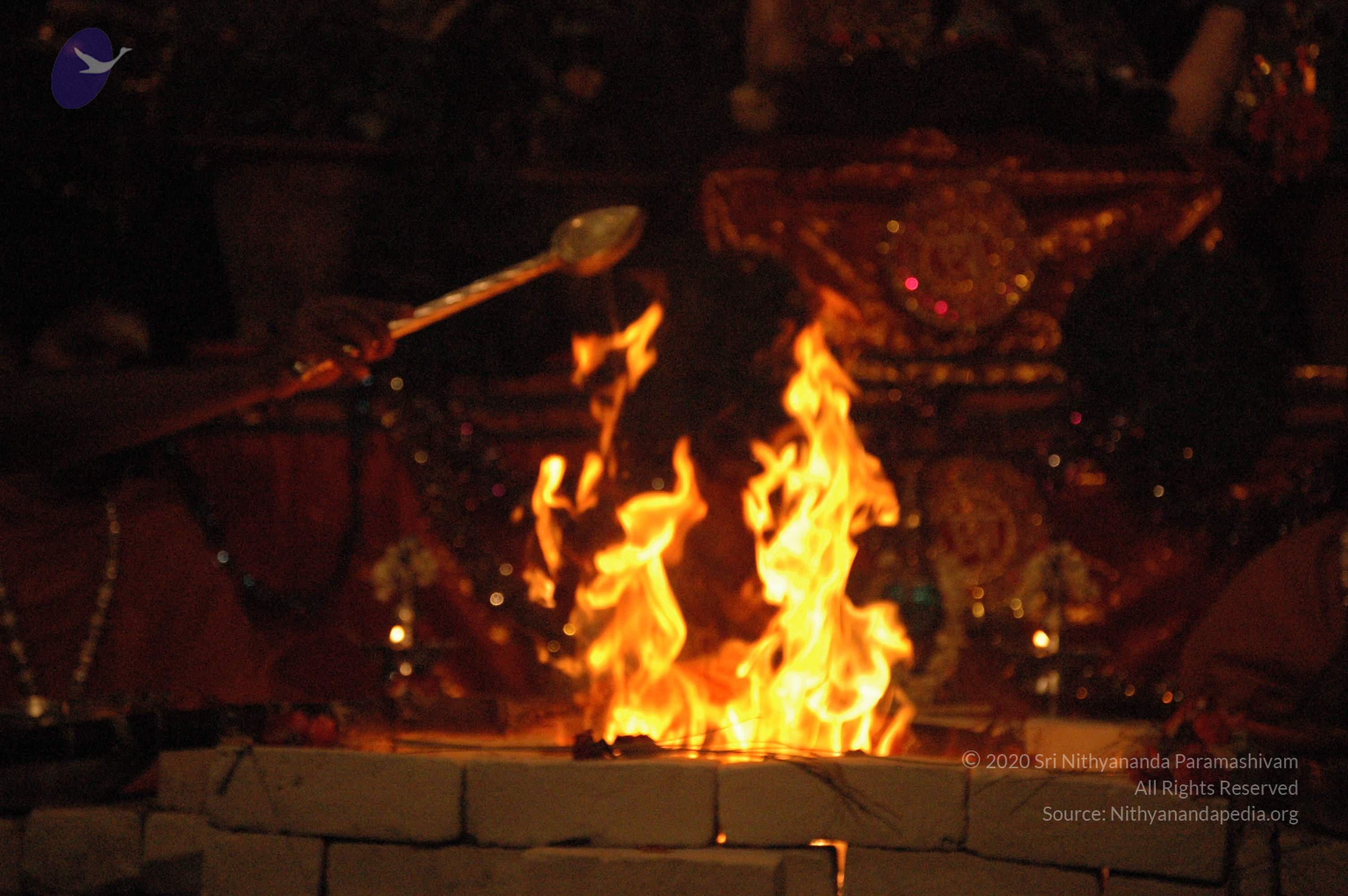 20061021_Photo_1160_DSC_8871_CMP_WM