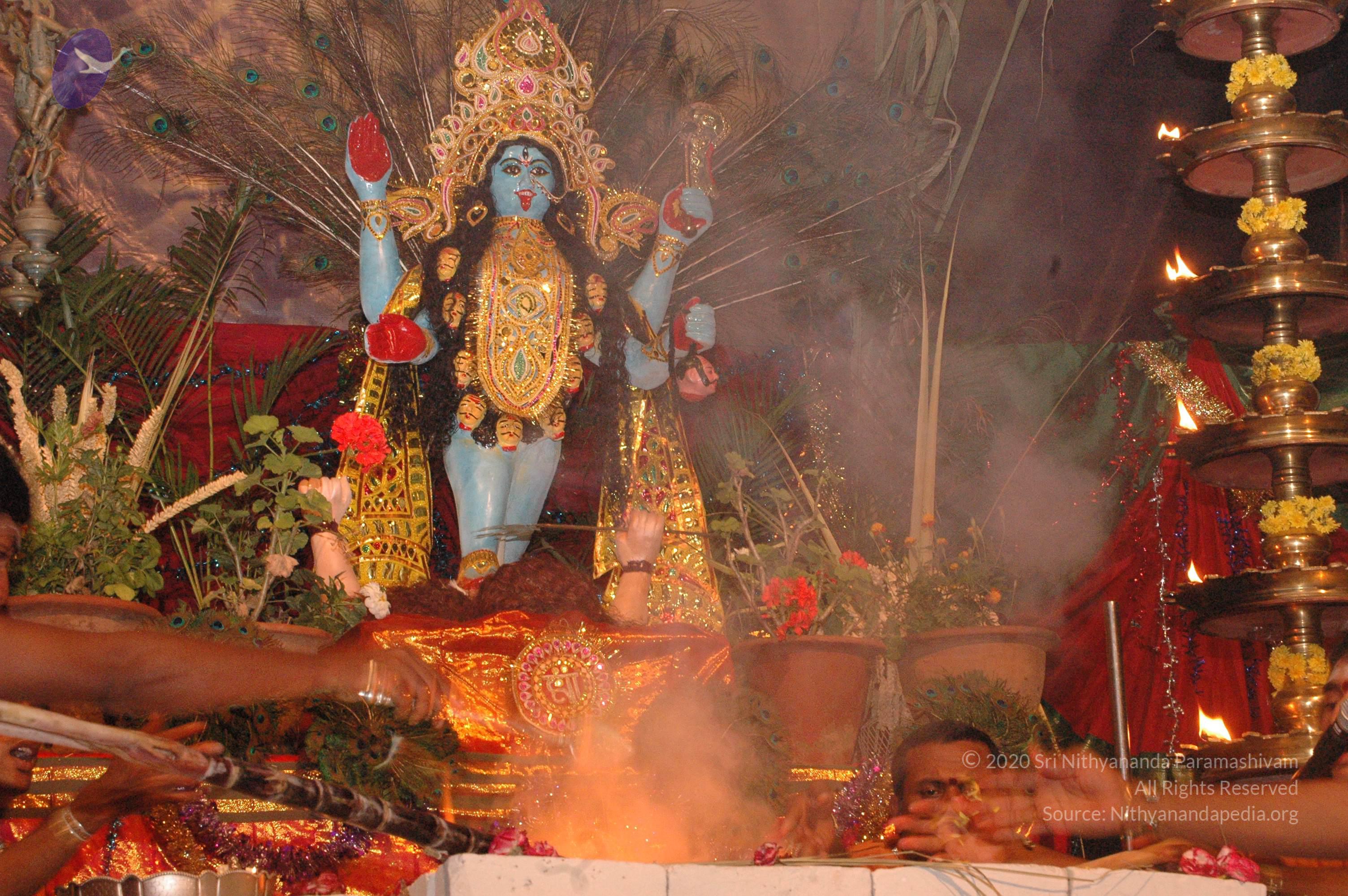 20061021_Photo_1164_DSC_8968_CMP_WM