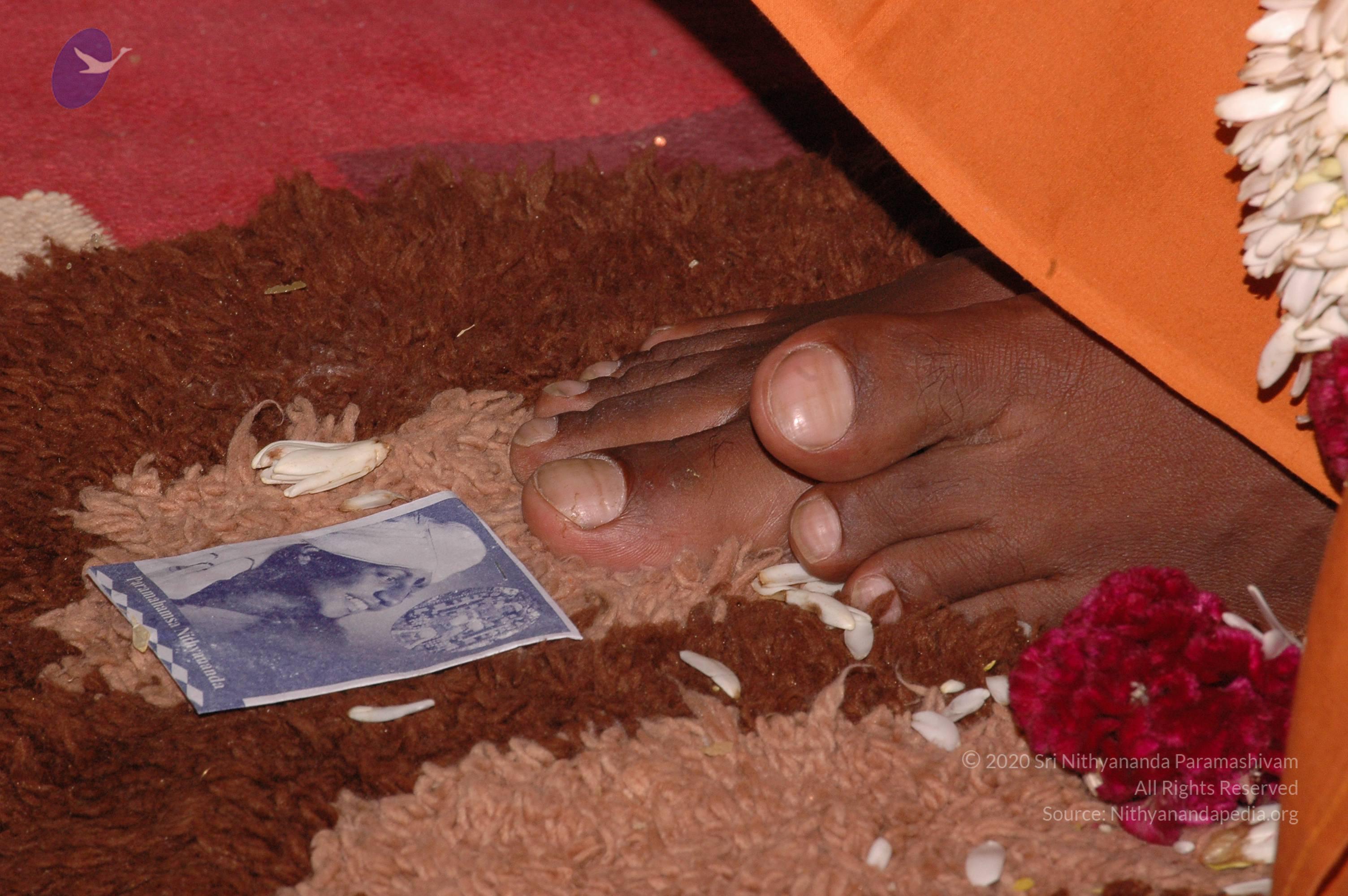 20061021_Photo_1060_DSC_9450_CMP_WM