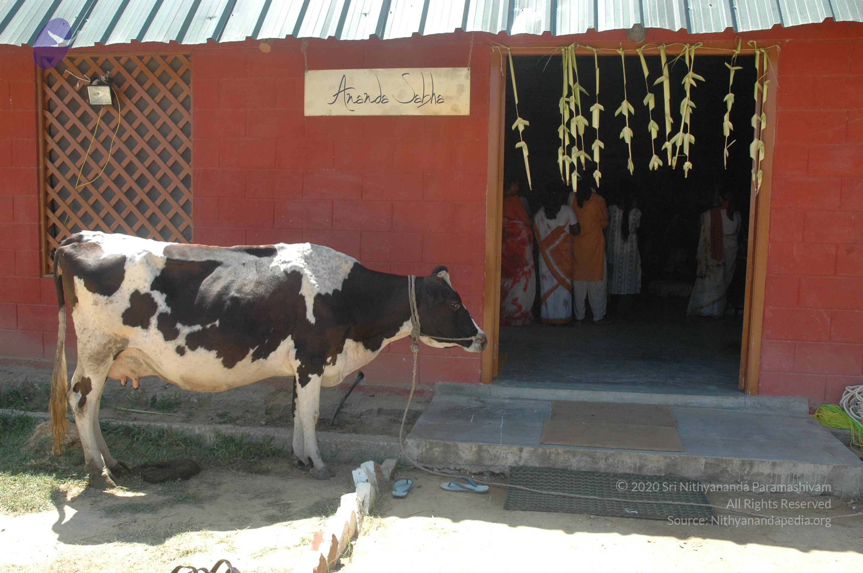 20061021_Photo_1214_DSC_9342_CMP_WM