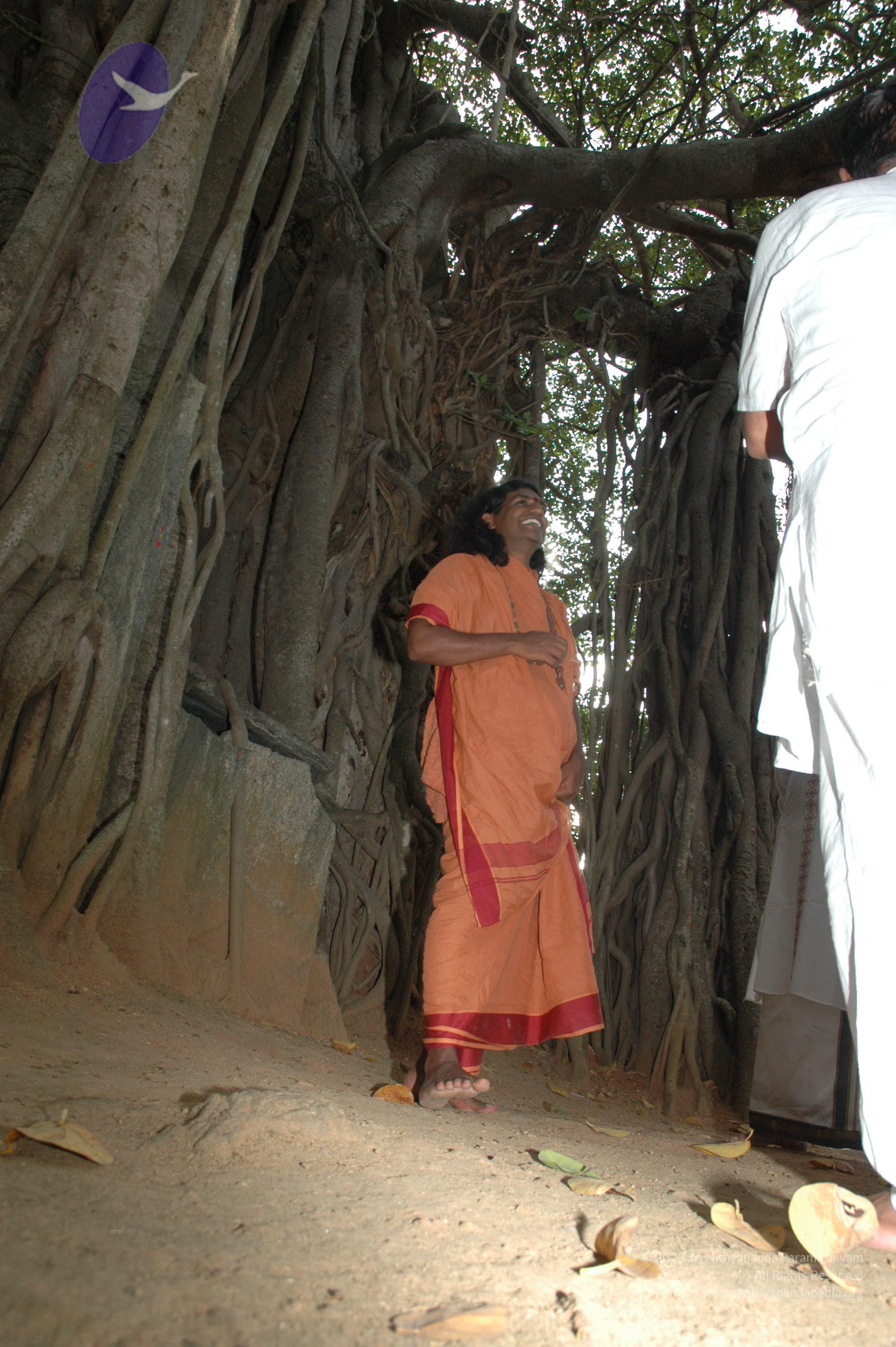 20061021_Photo_1004_DSC_8149_CMP_WM