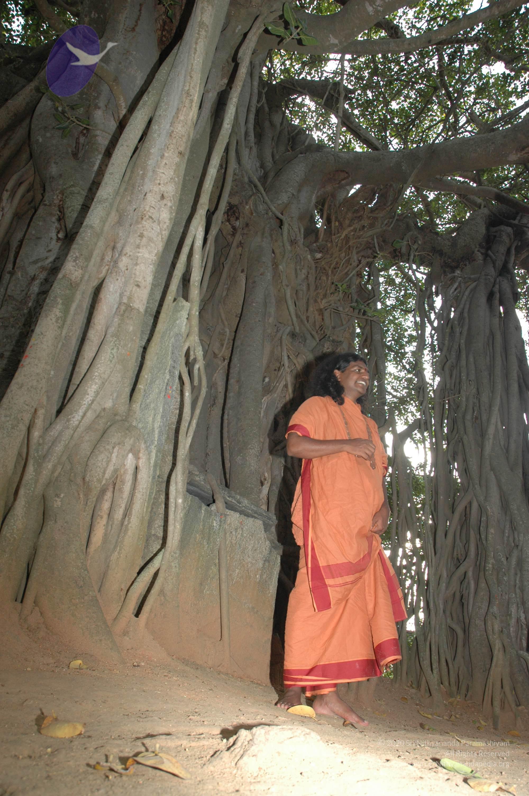 20061021_Photo_1014_DSC_8150_CMP_WM