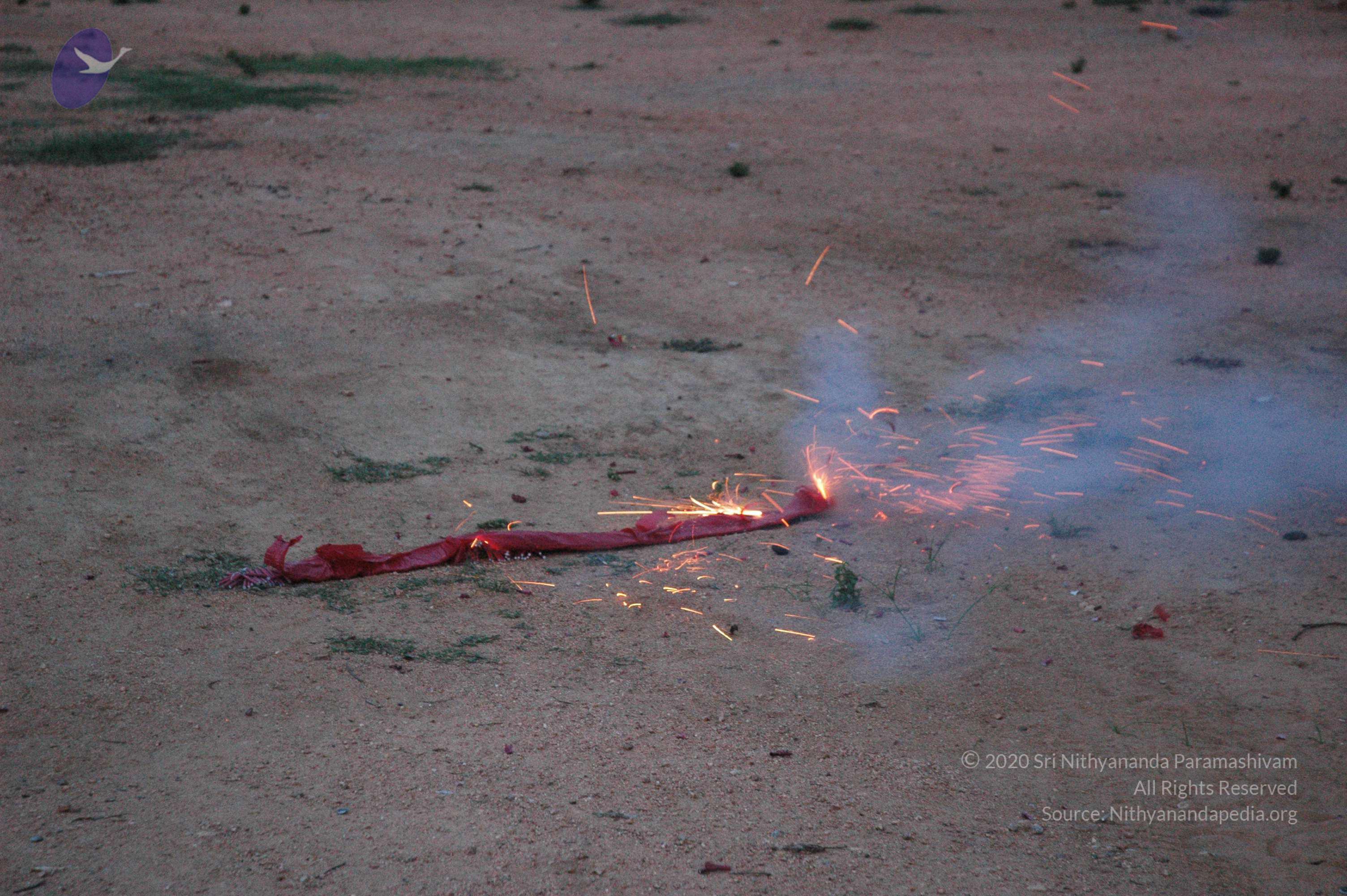 20061021_Photo_1030_DSC_8304_CMP_WM