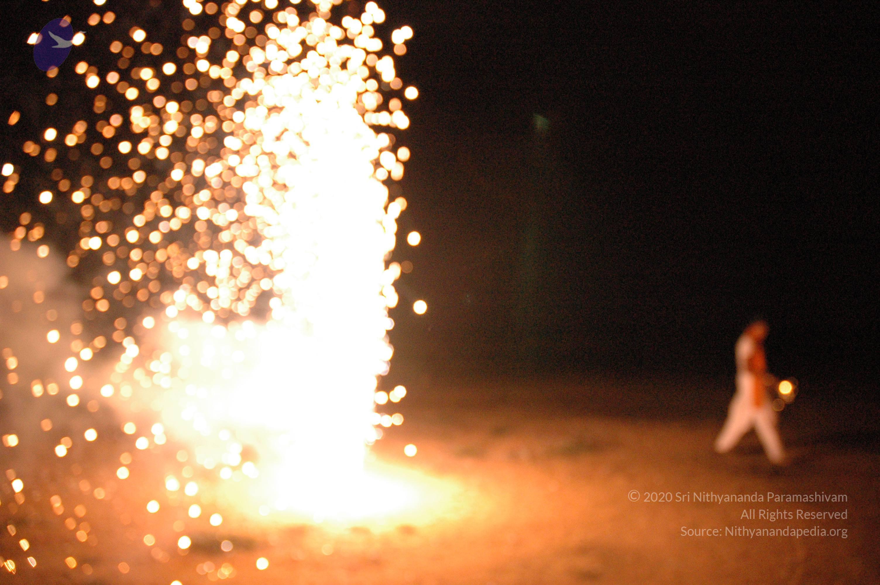 20061021_Photo_1034_DSC_8485_CMP_WM