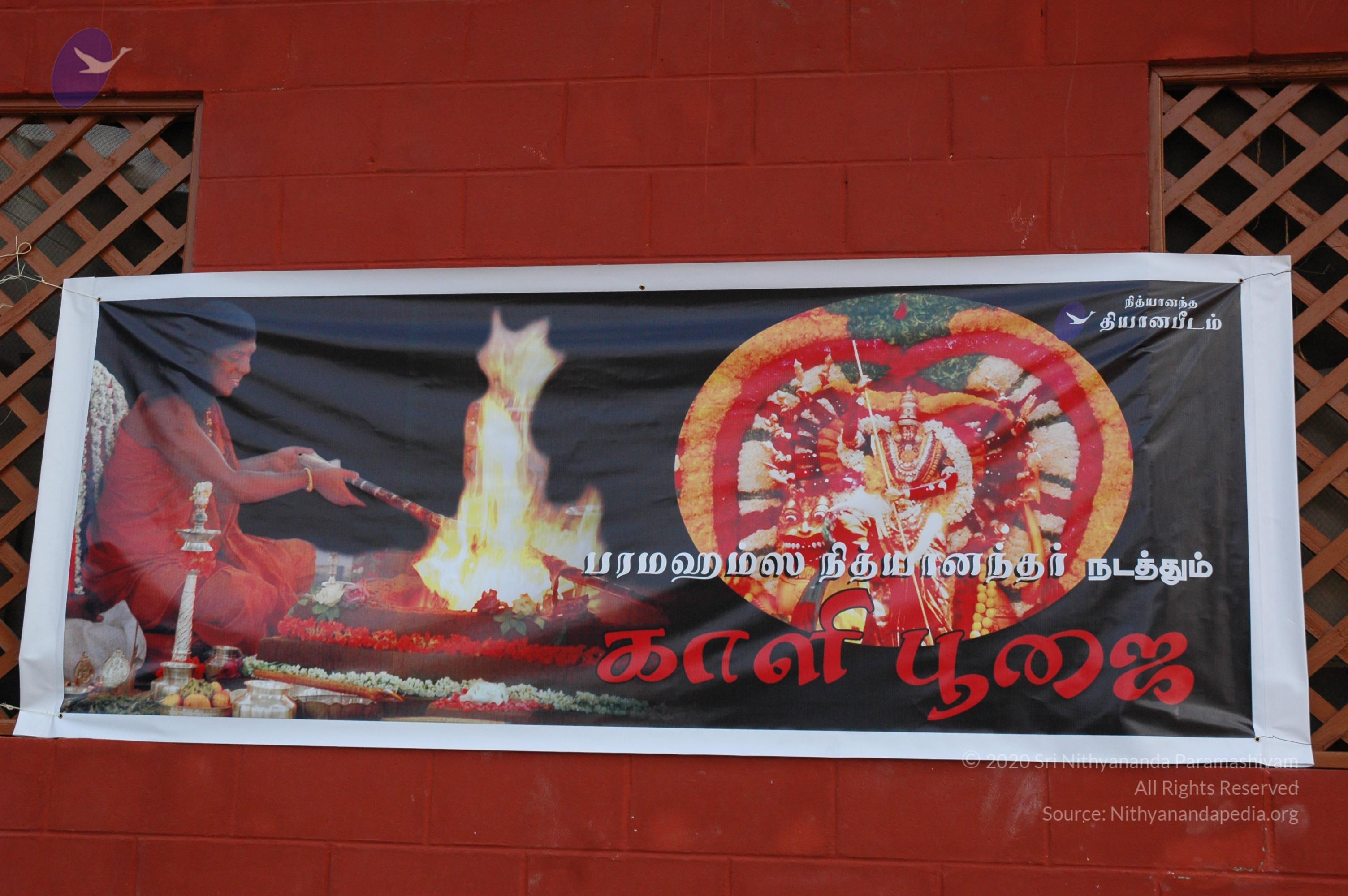 20061021_Photo_1039_DSC_8177_CMP_WM