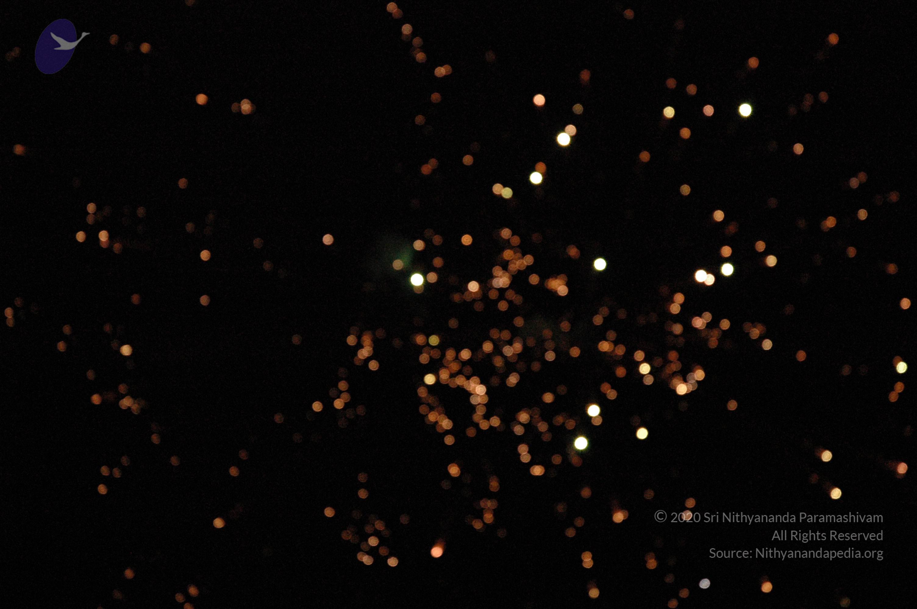 20061021_Photo_1006_DSC_8522_CMP_WM