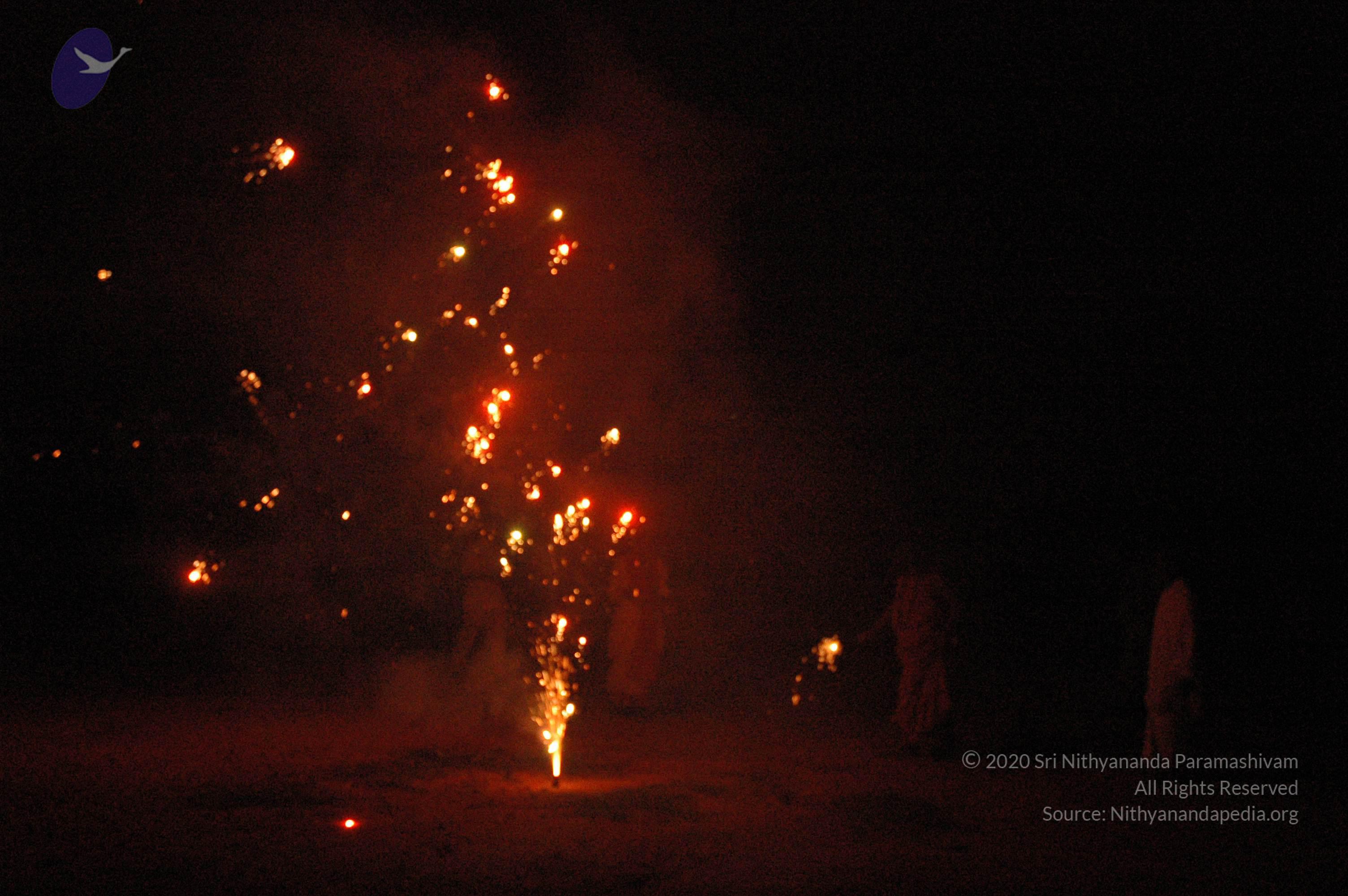 20061021_Photo_1009_DSC_8536_CMP_WM