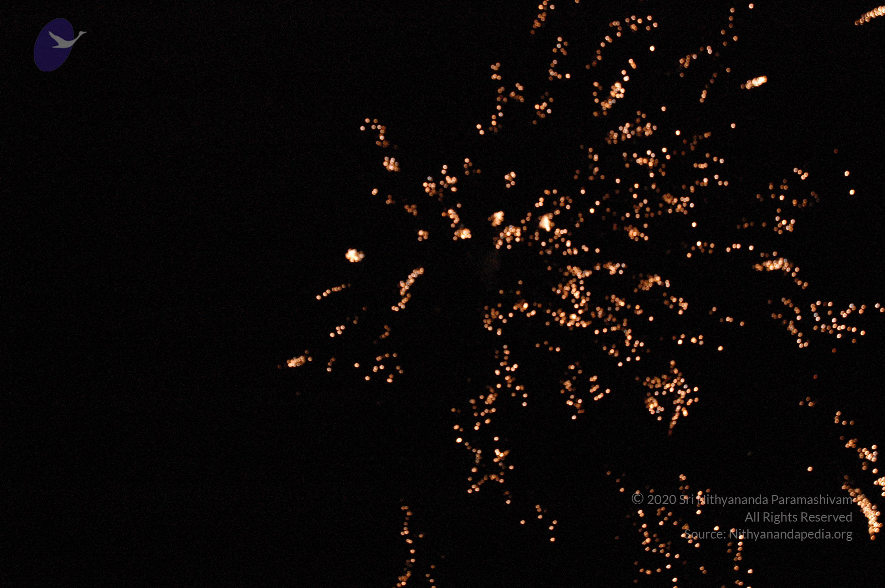 20061021_Photo_1016_DSC_8535_CMP_WM