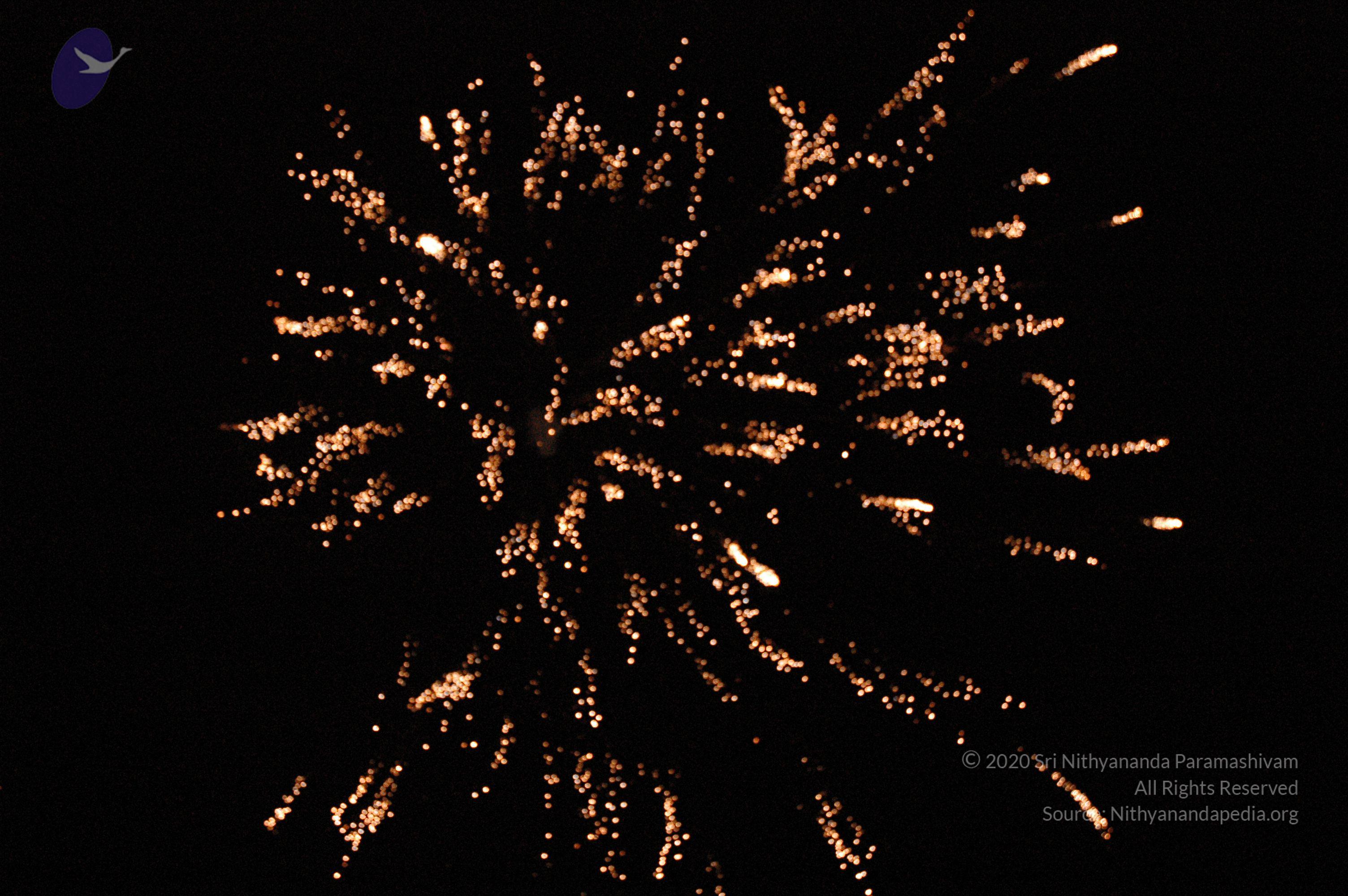 20061021_Photo_1020_DSC_8530_CMP_WM