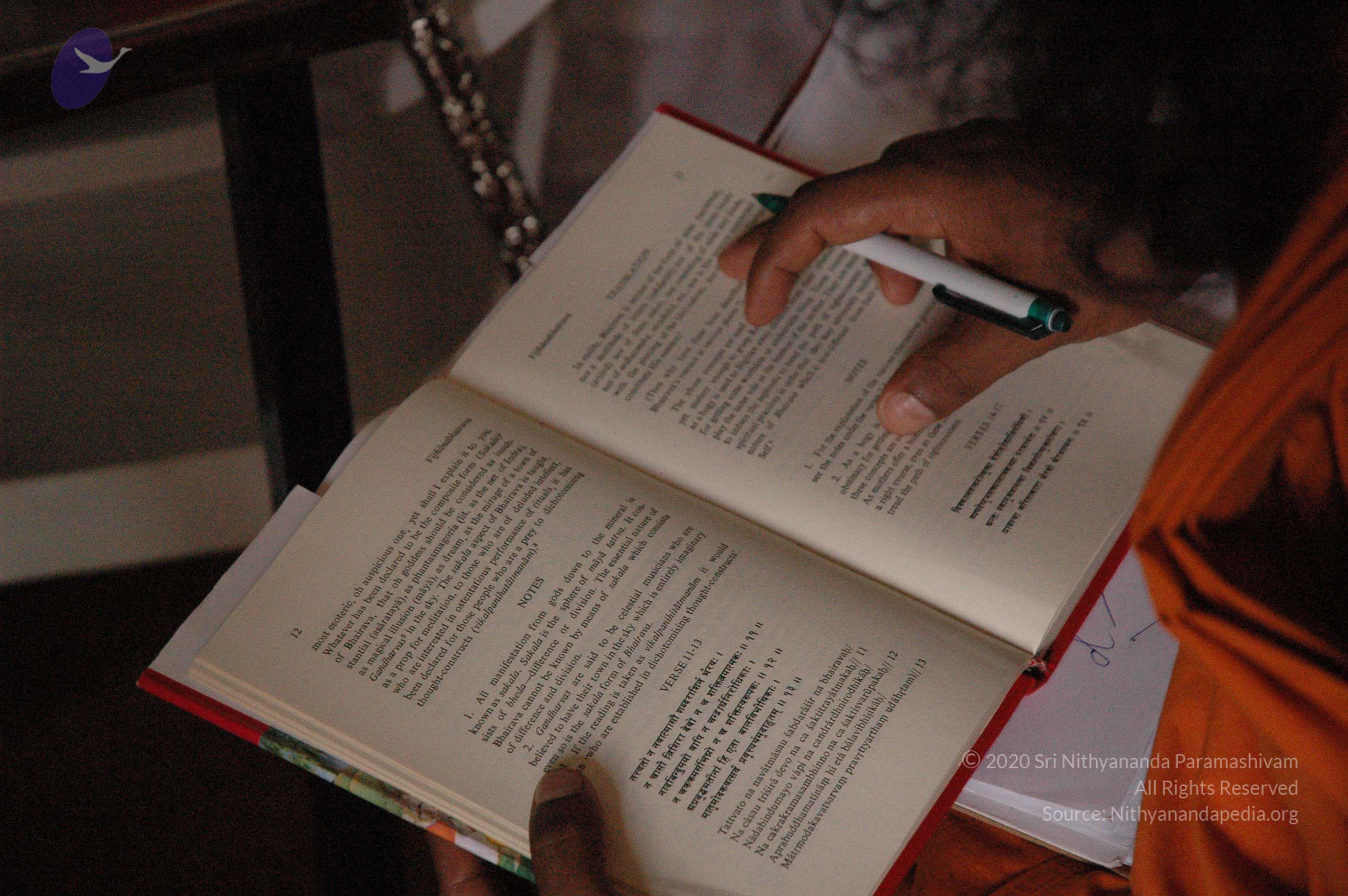 20061021_Photo_1010_DSC_6848_CMP_WM