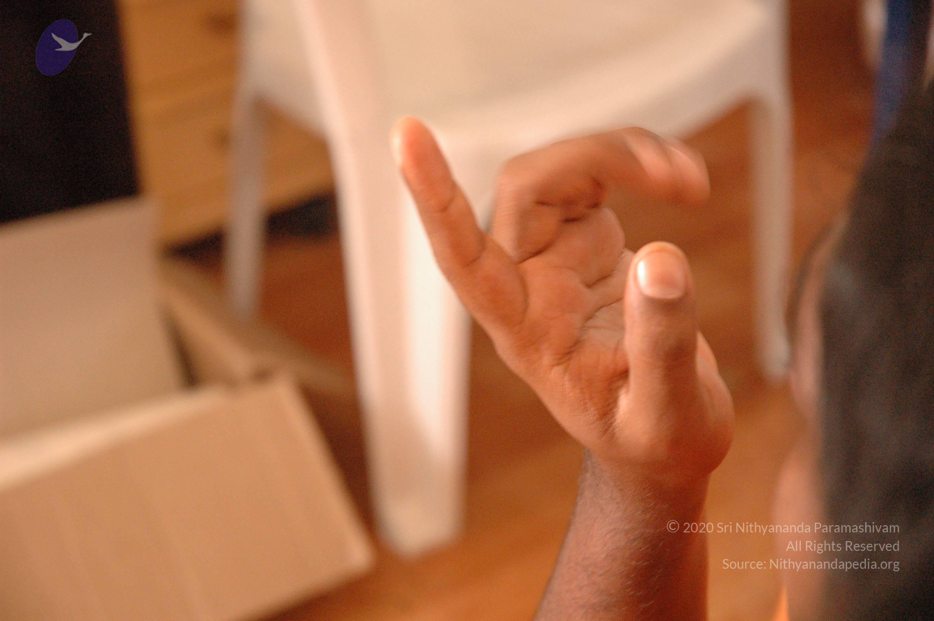 20061021_Photo_1011_DSC_6933_CMP_WM