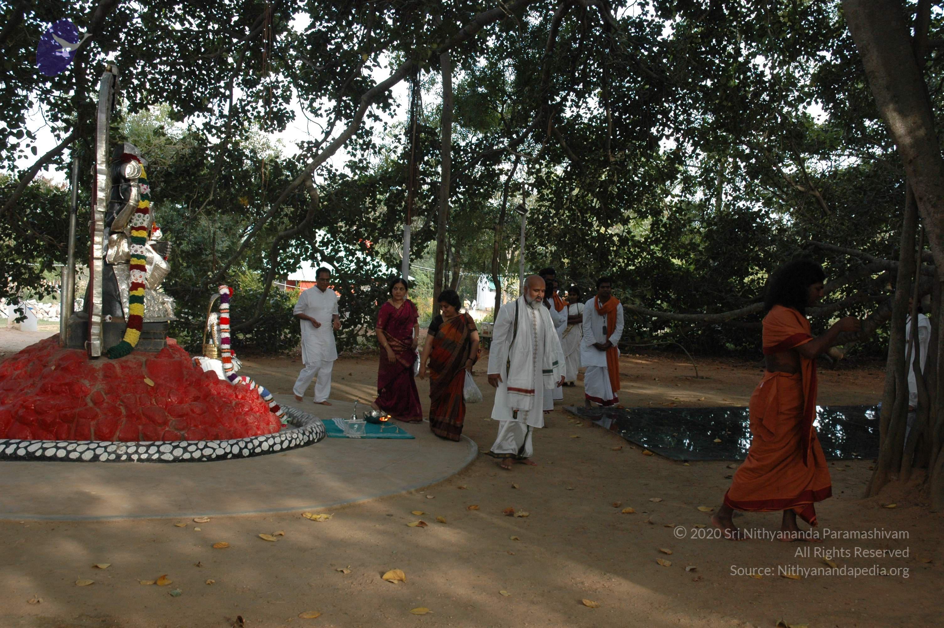 20061021_Photo_1003_DSC_8141_CMP_WM