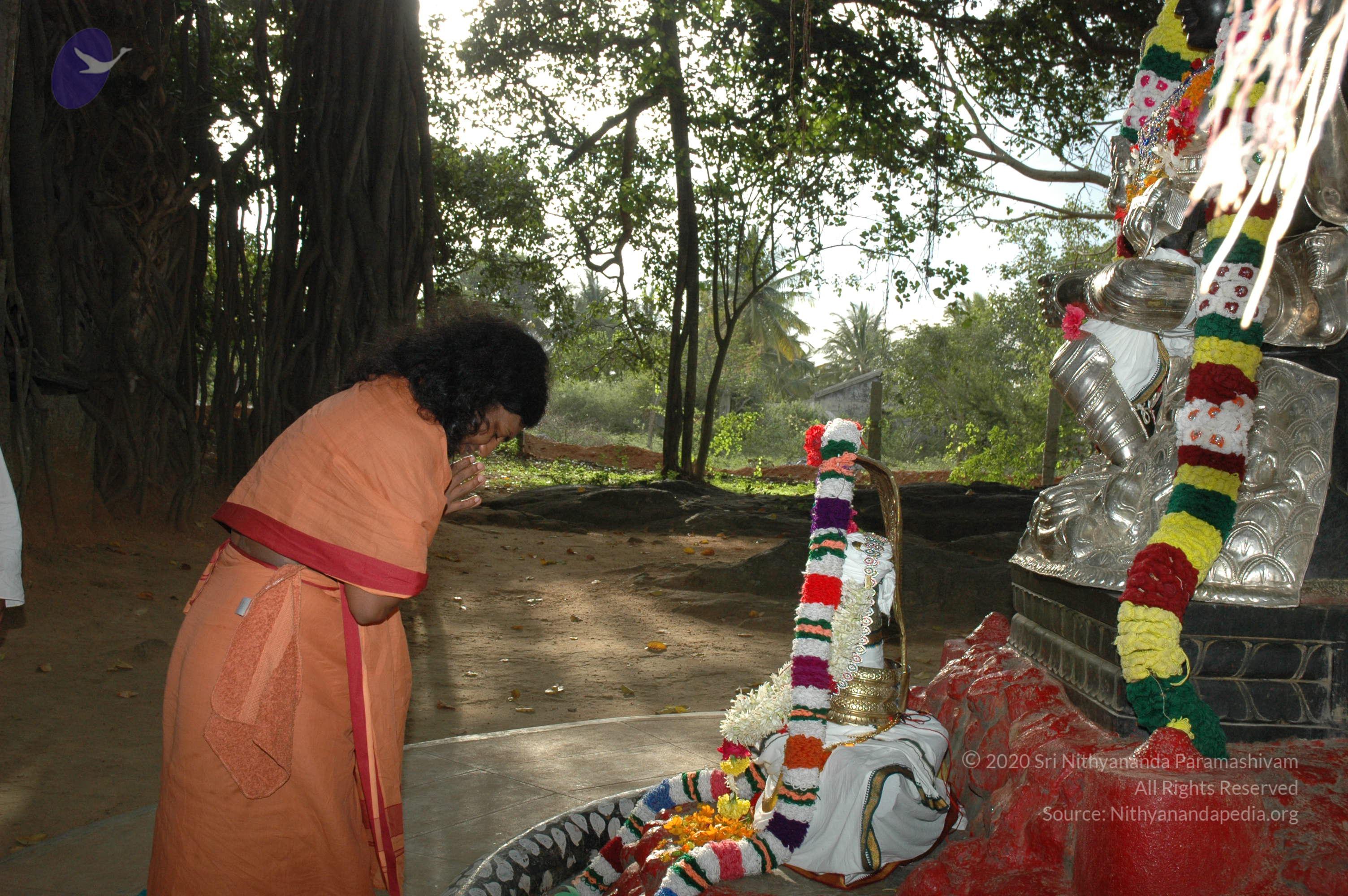 20061021_Photo_1008_DSC_8160_CMP_WM