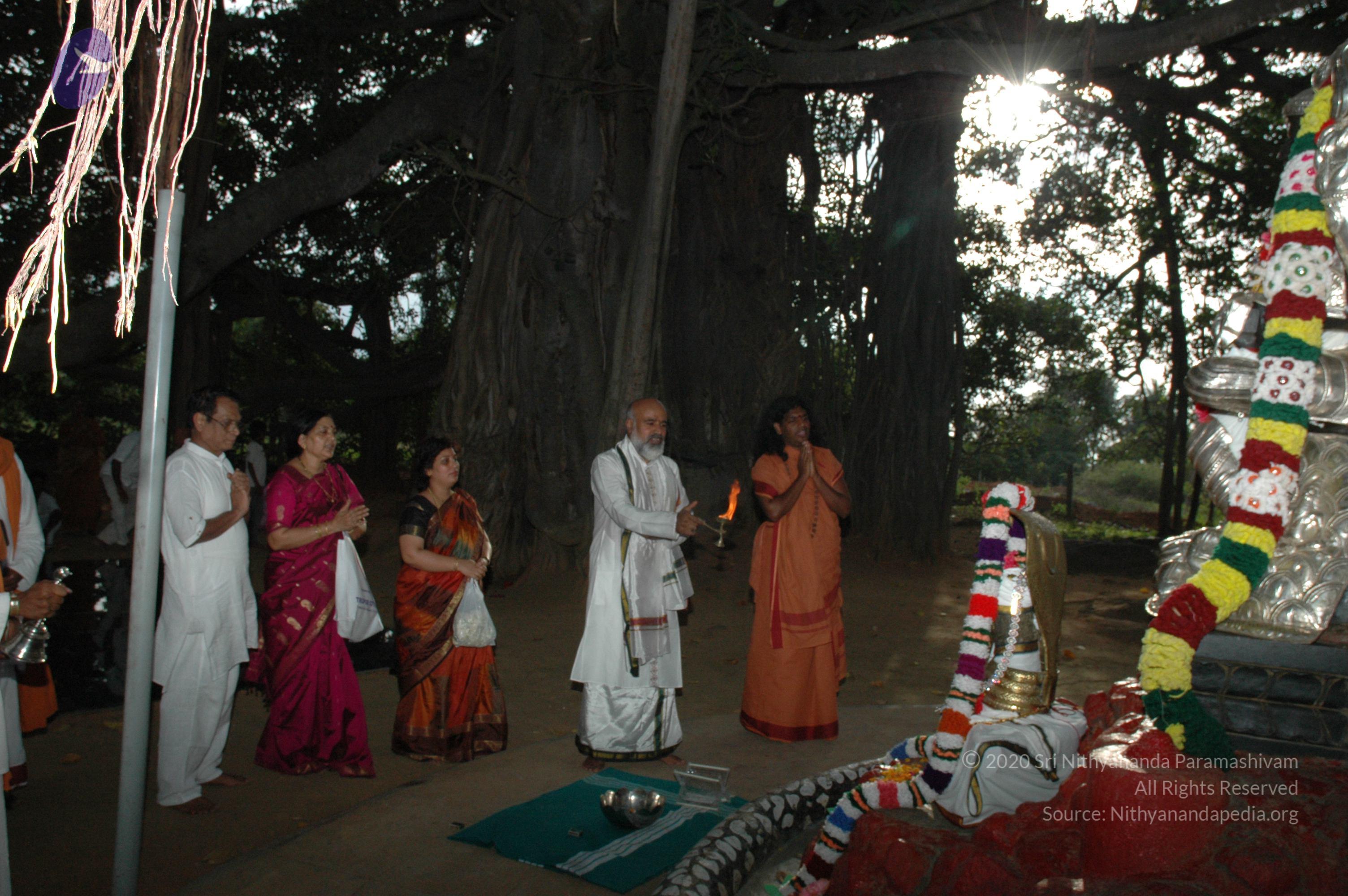 20061021_Photo_1009_DSC_8135_CMP_WM